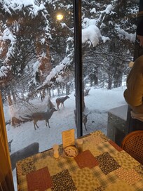 Breakfast with the deer
