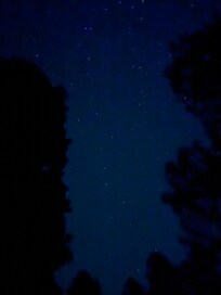 Wonderful view of the stars at night!