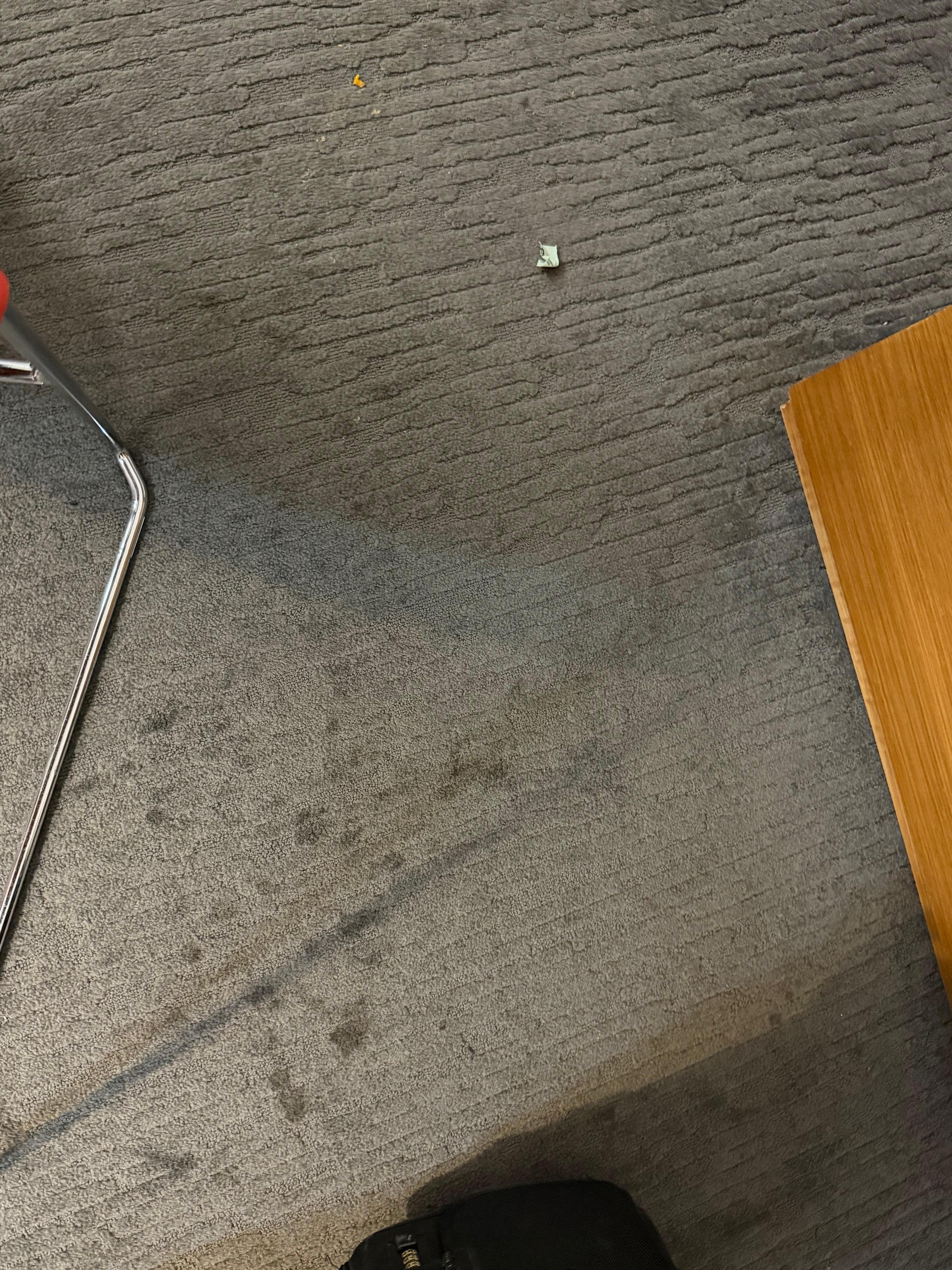 Not a good vibe with stained carpet. 