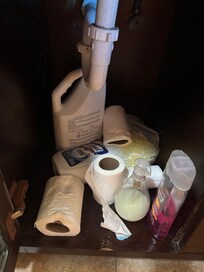 Filthy bathroom area