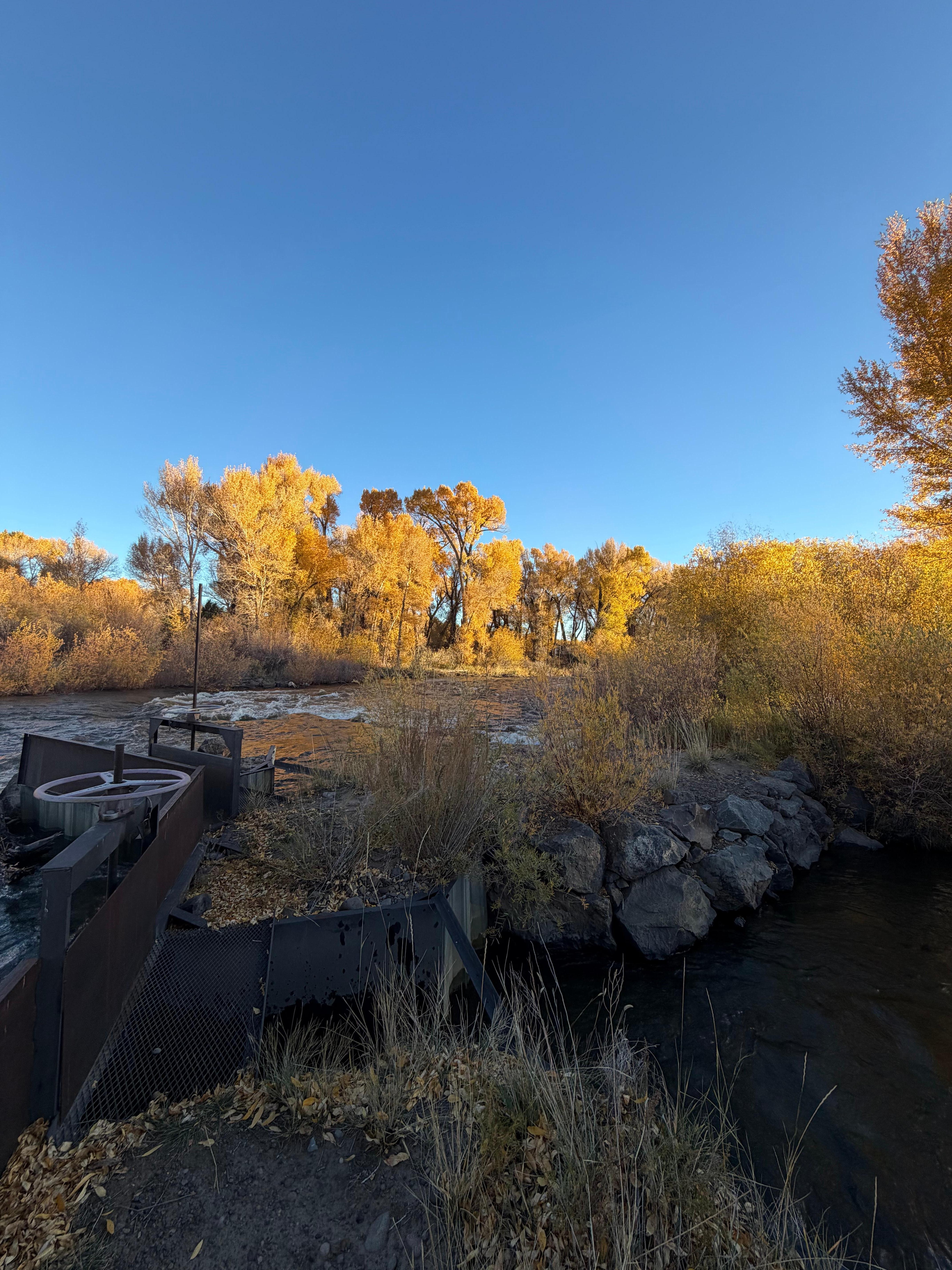 Beautiful fall colors 