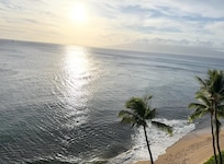 View out the lanai