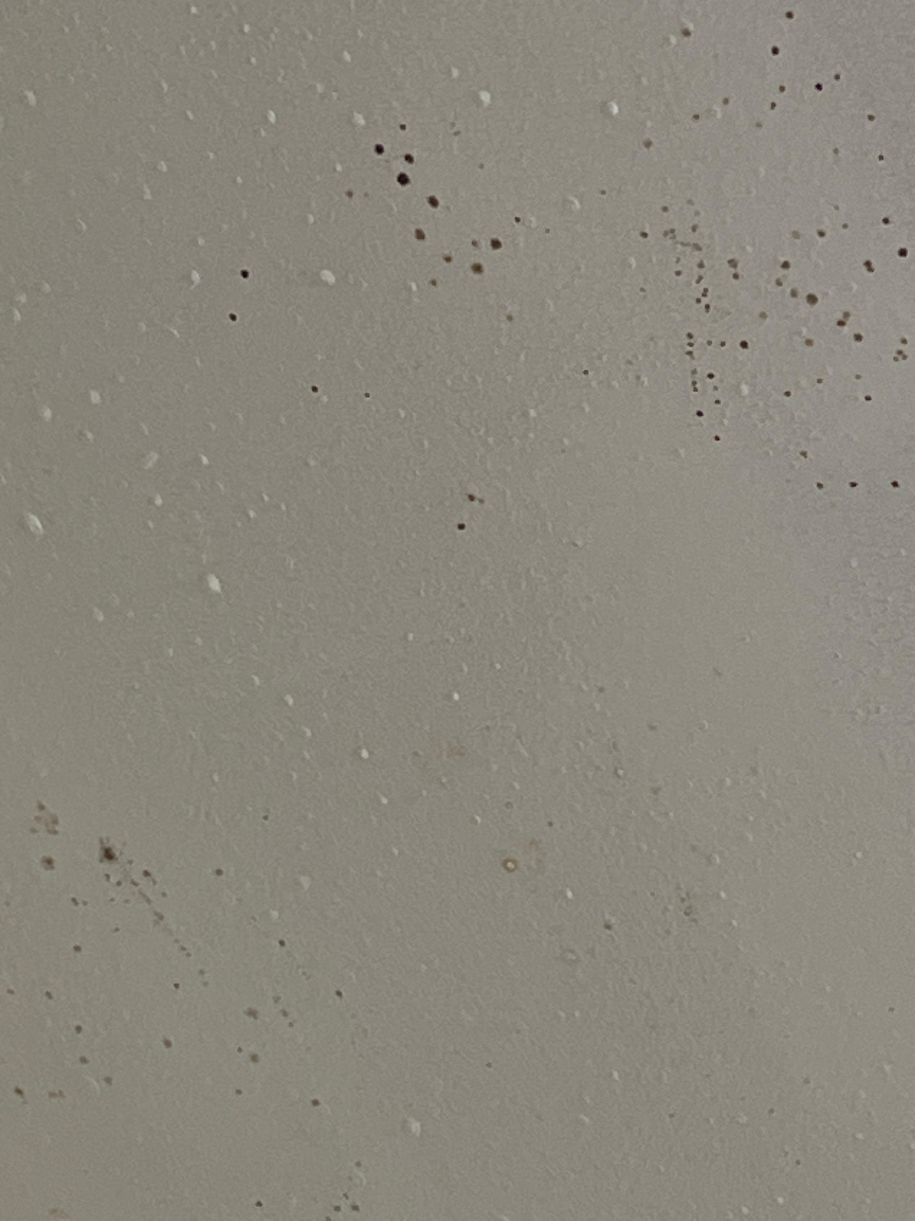 over the shower and tube