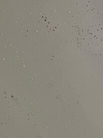 over the shower and tube