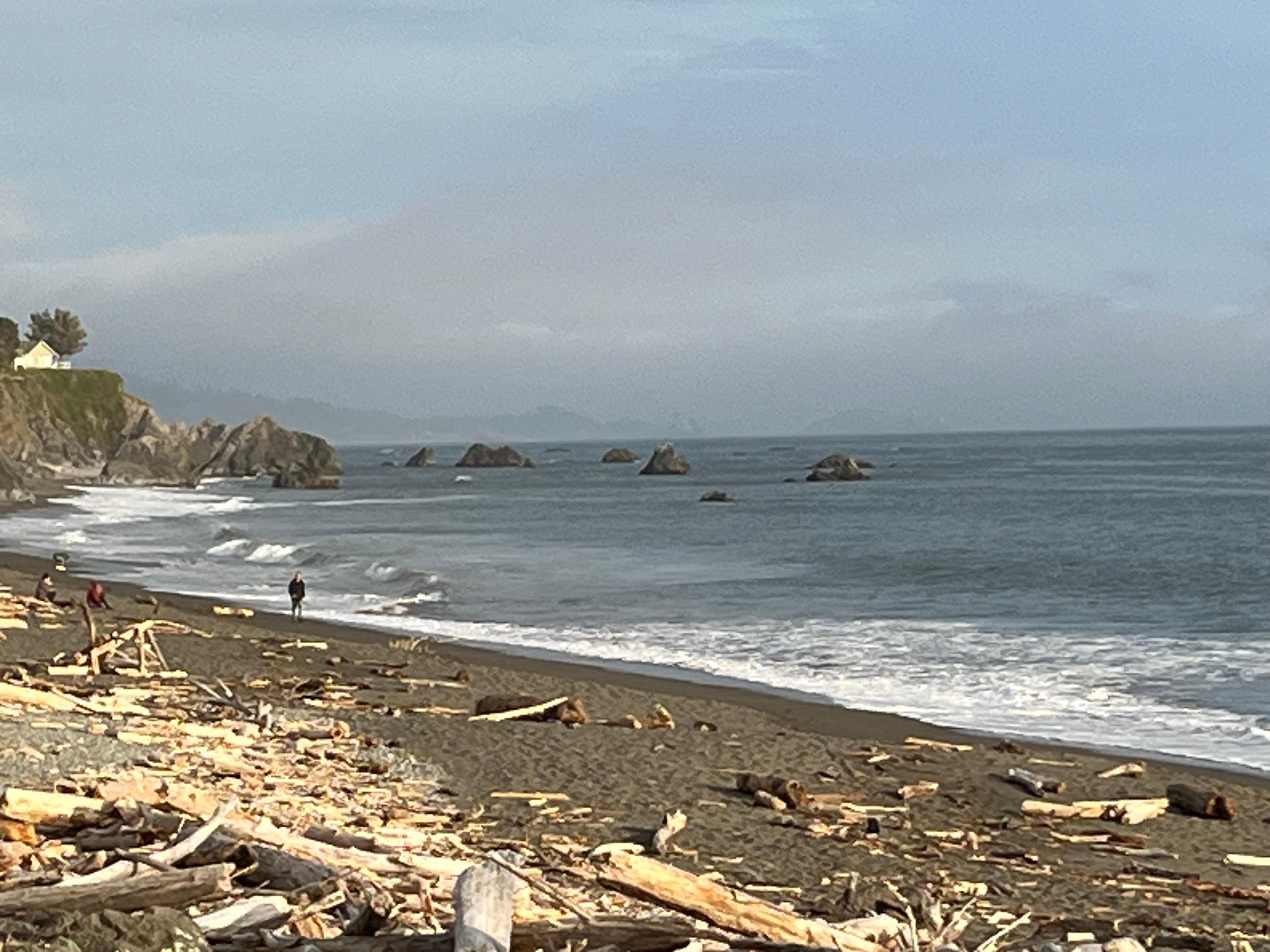 Harbor beach