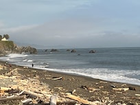 Harbor beach