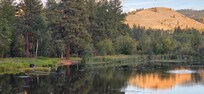 View to North end of trout pond
