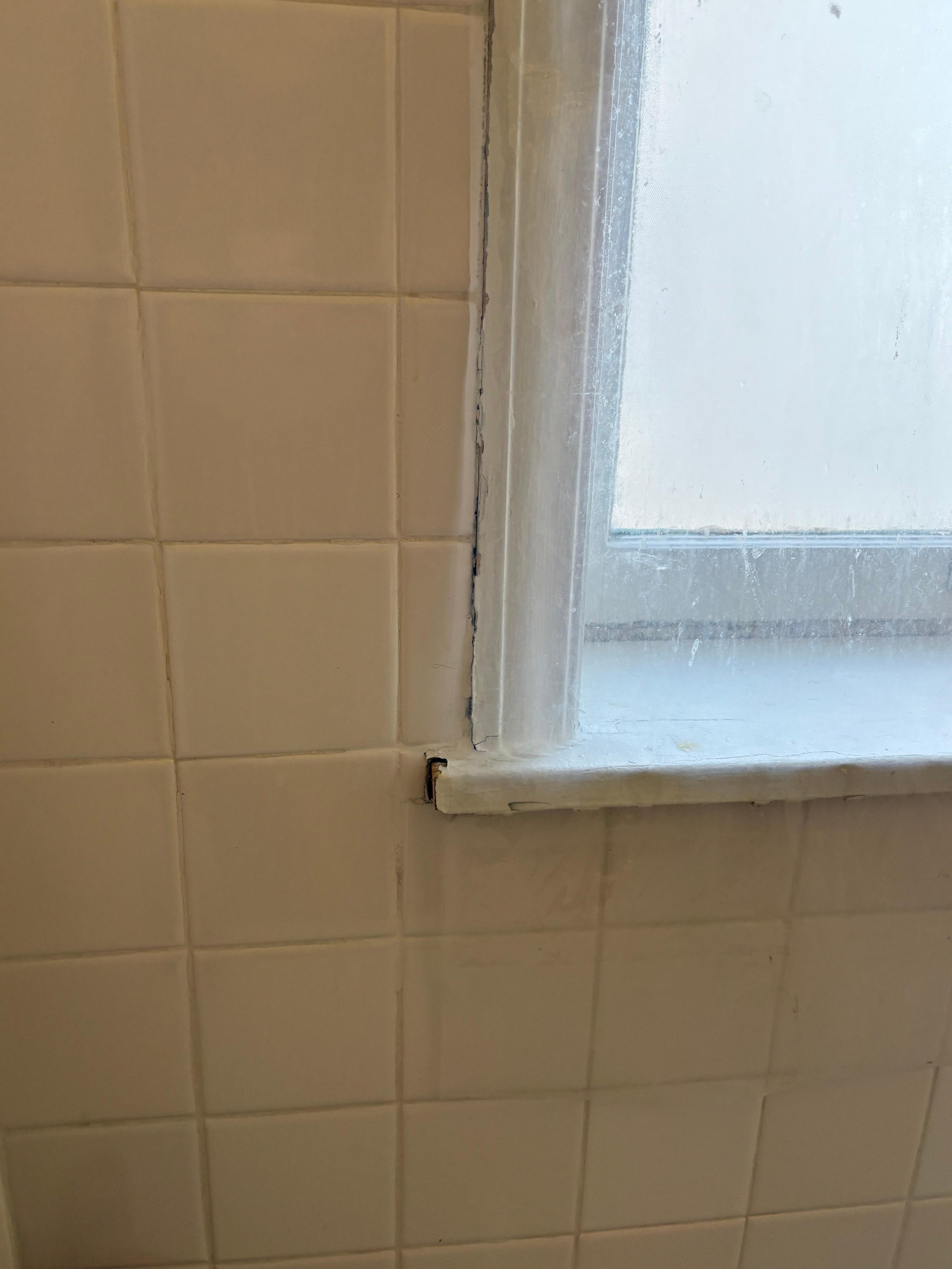 bathroom shower/window