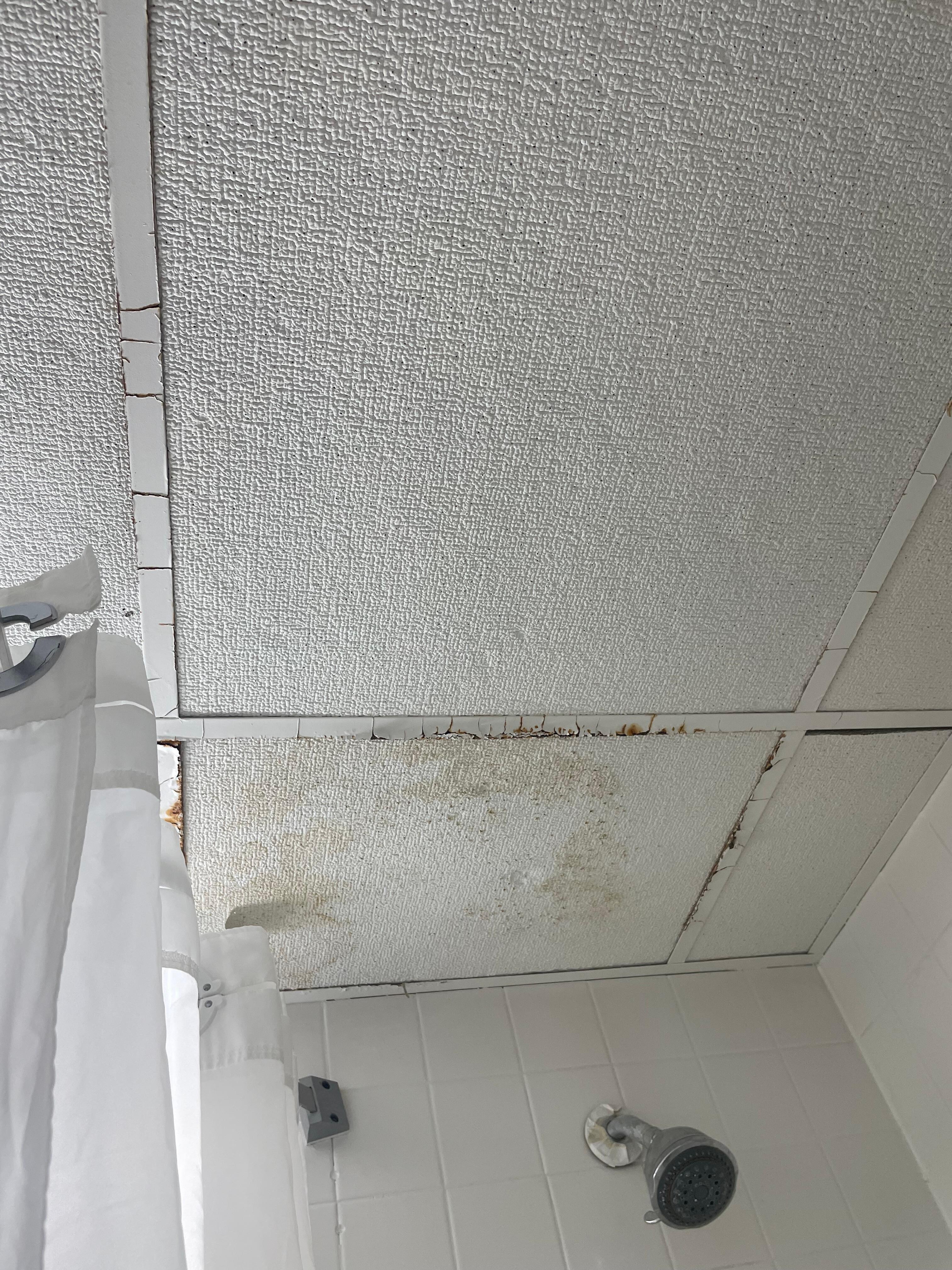 Ceiling in the bathroom disgusting
