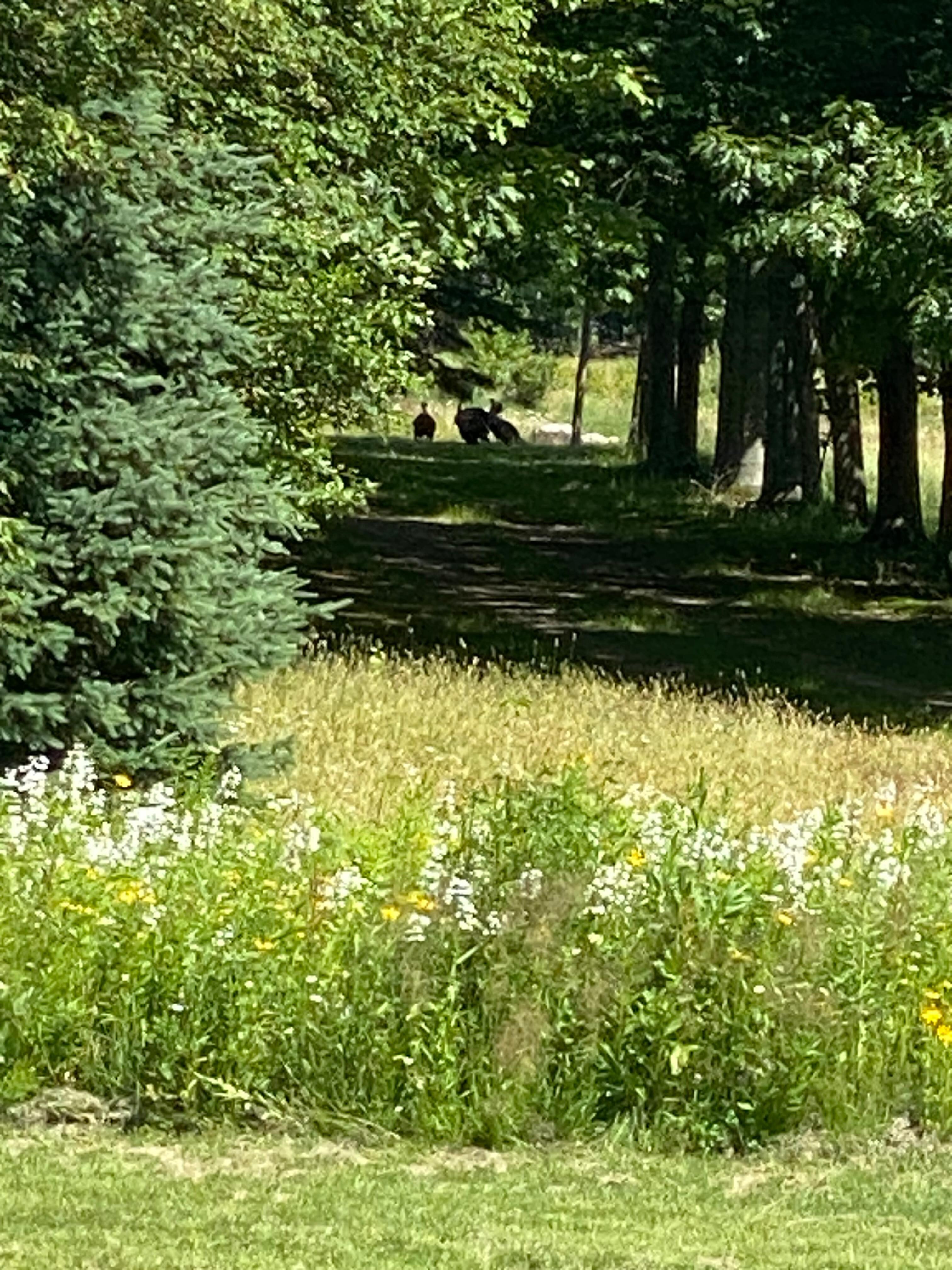 Called in Turkey’s 