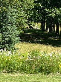 Called in Turkey’s