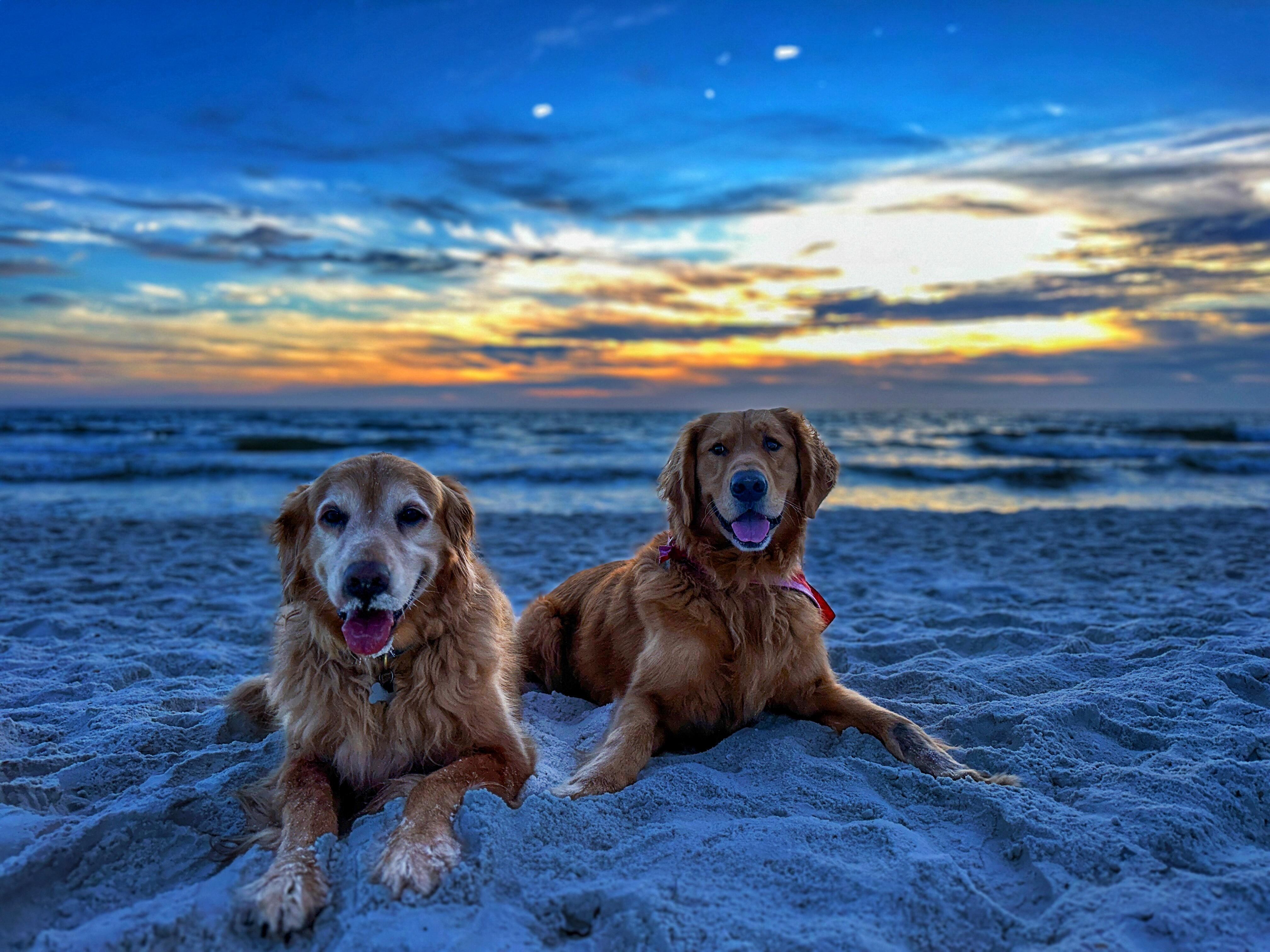 First night on the beach