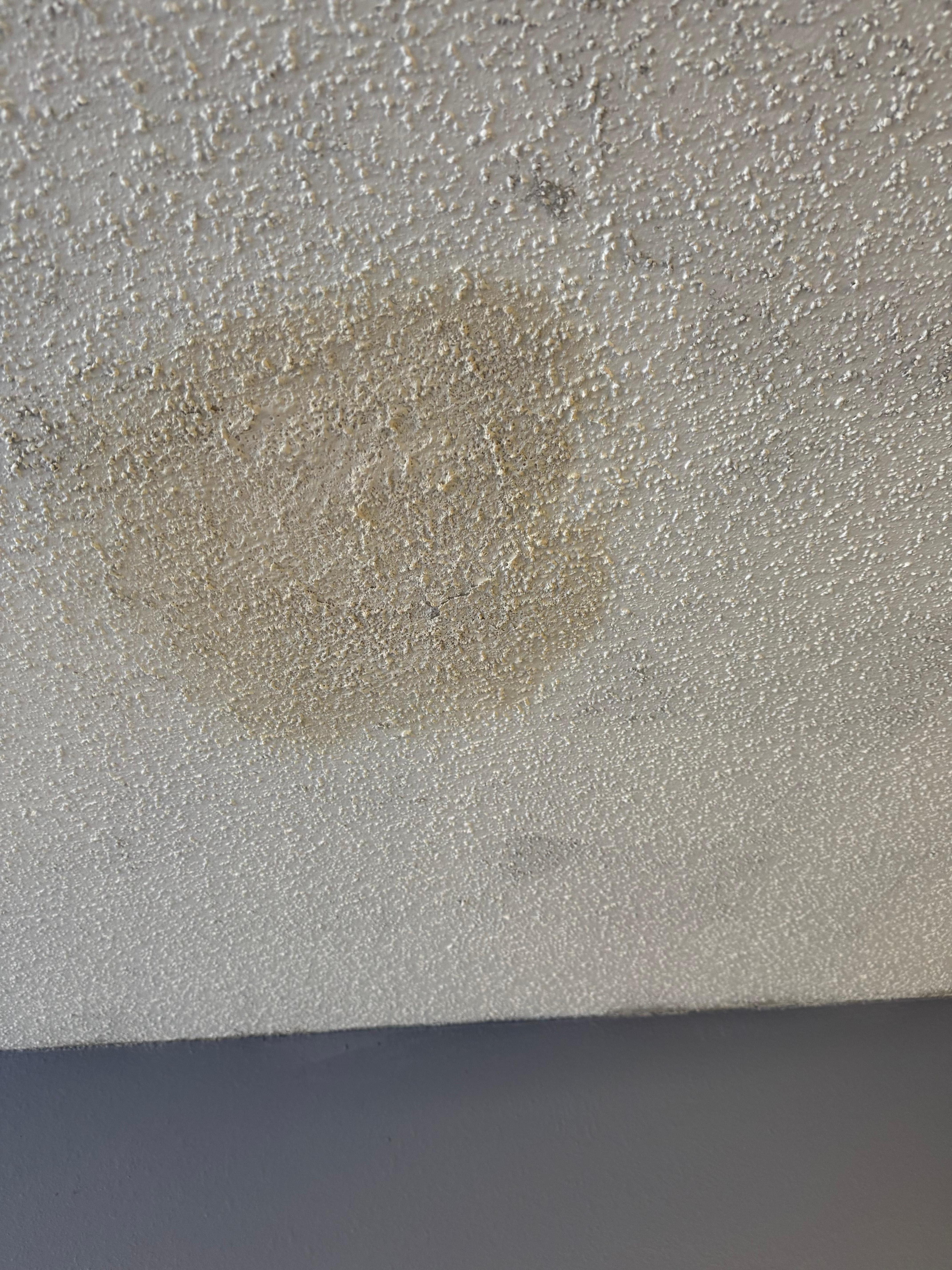 Wet, moldy ceiling