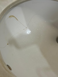 Cracked basin with some type of filler