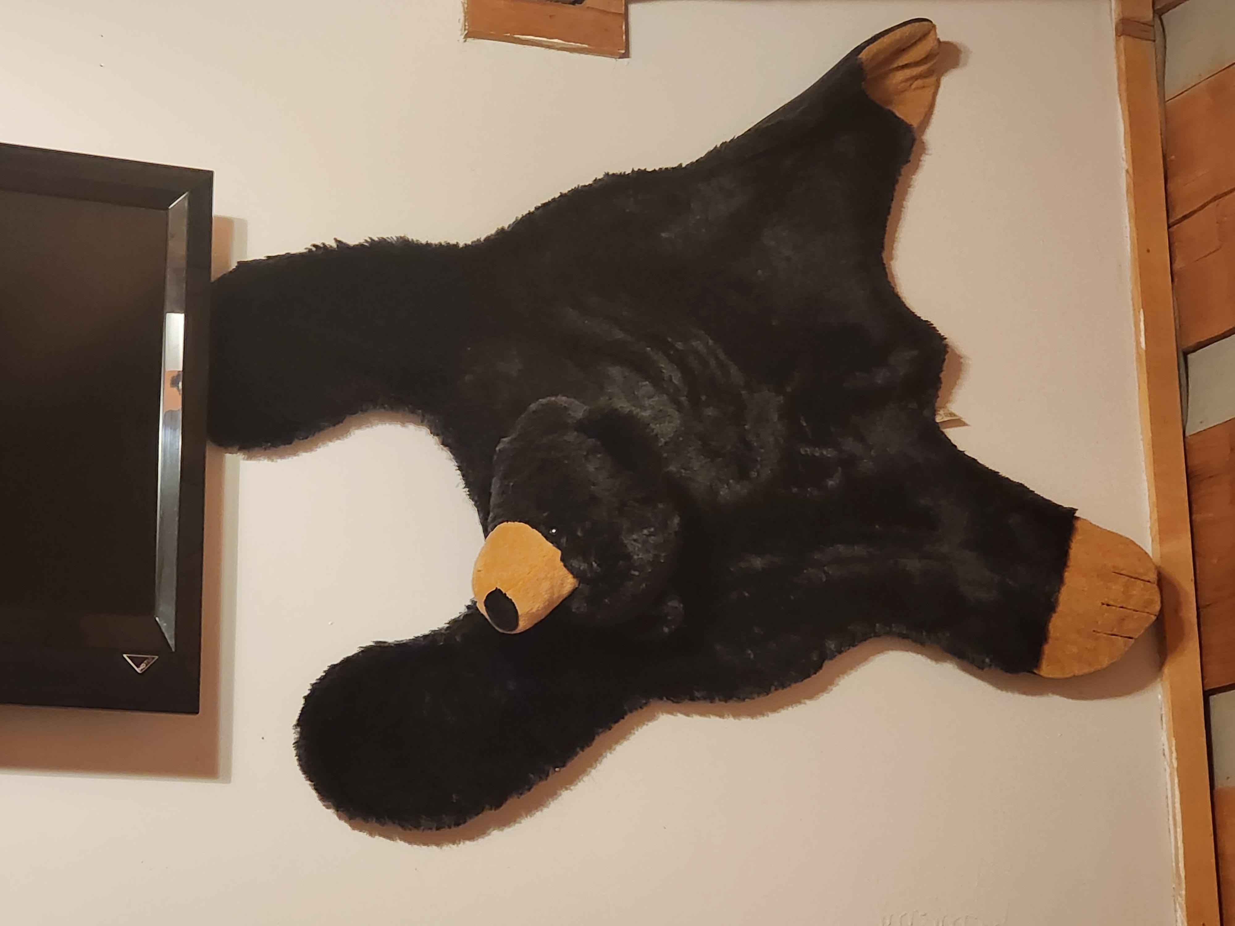 Bear skin rug. 😆