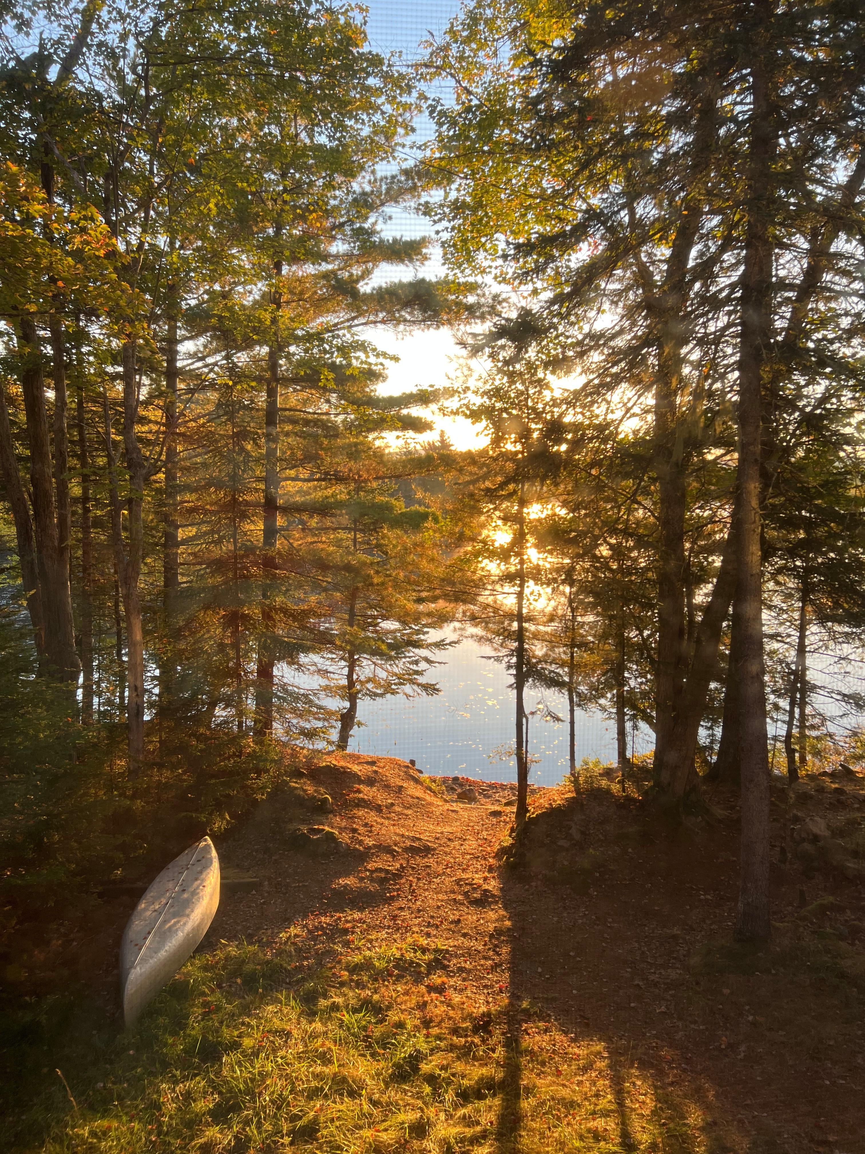 View in the morning out our bedroom window!