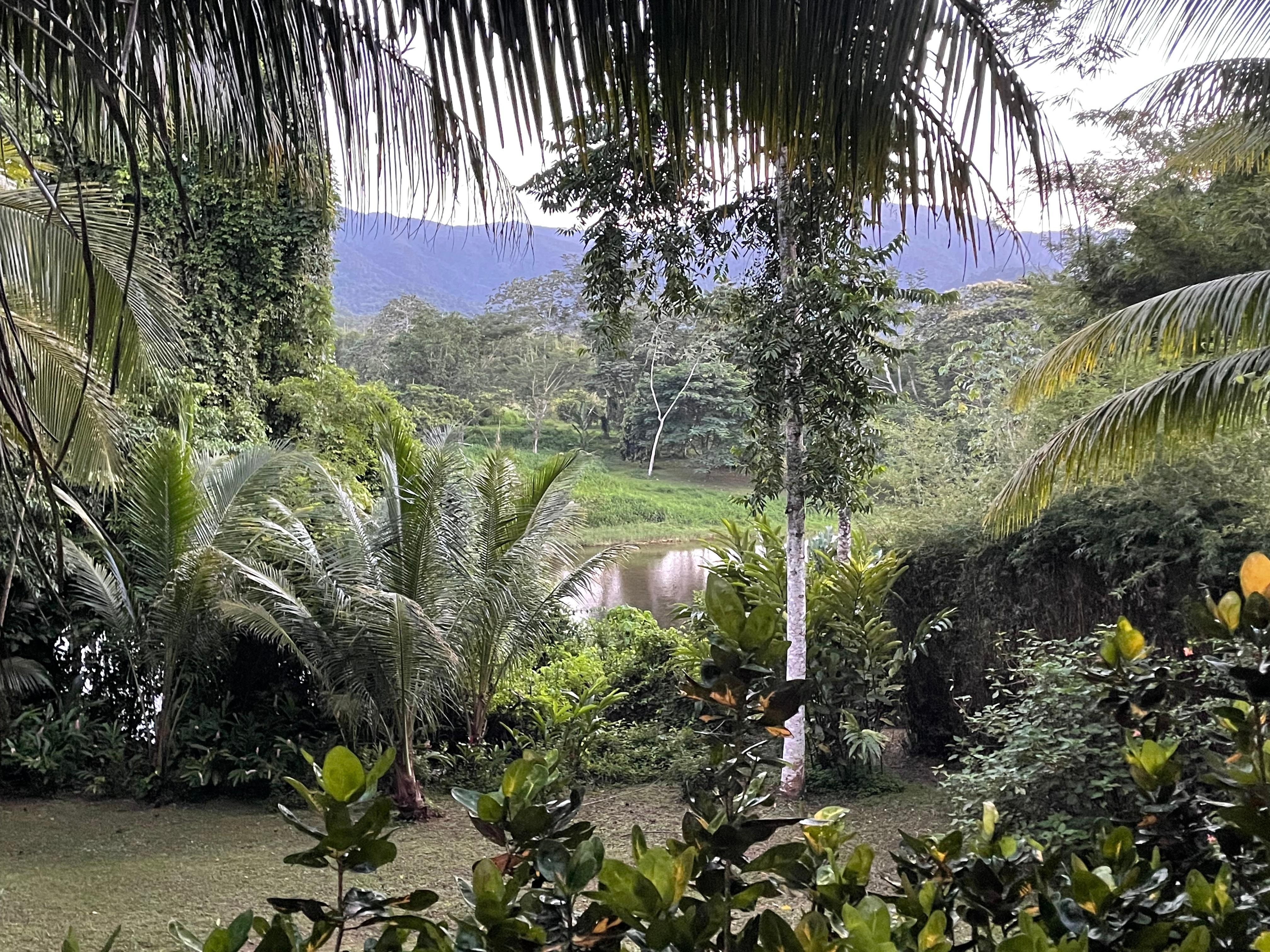 View from the ‘owner’s house…
View of river and mountains!