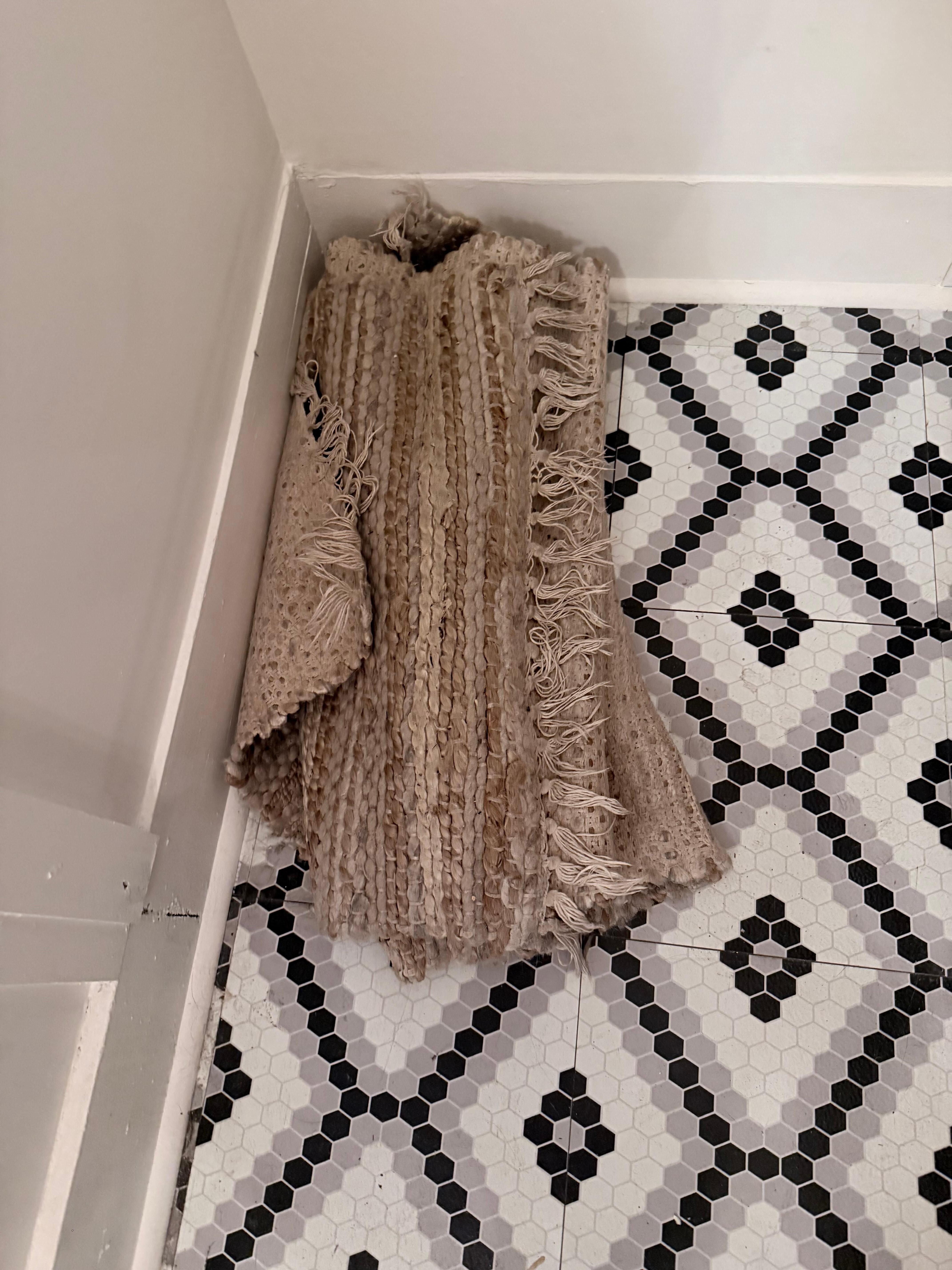 Rolled up rug due to dirt