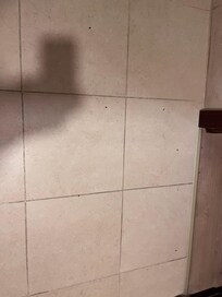 The flying ants were mostly inbathroom patio curtain and any lights and even on the bed. This photo shows a few on bathroom floor.