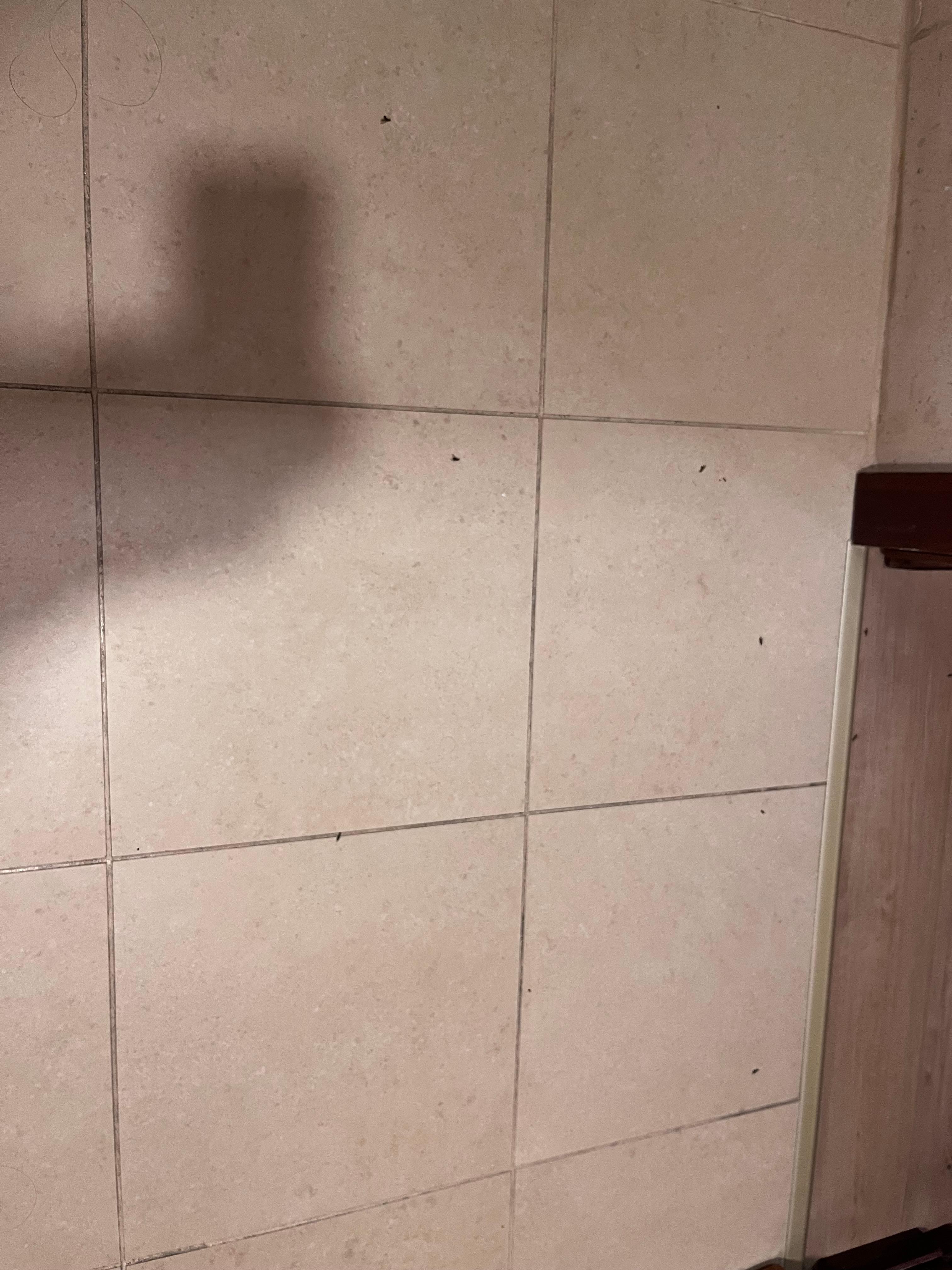 The flying ants were mostly inbathroom patio curtain and any lights and even on the bed. This photo shows a few on bathroom floor.