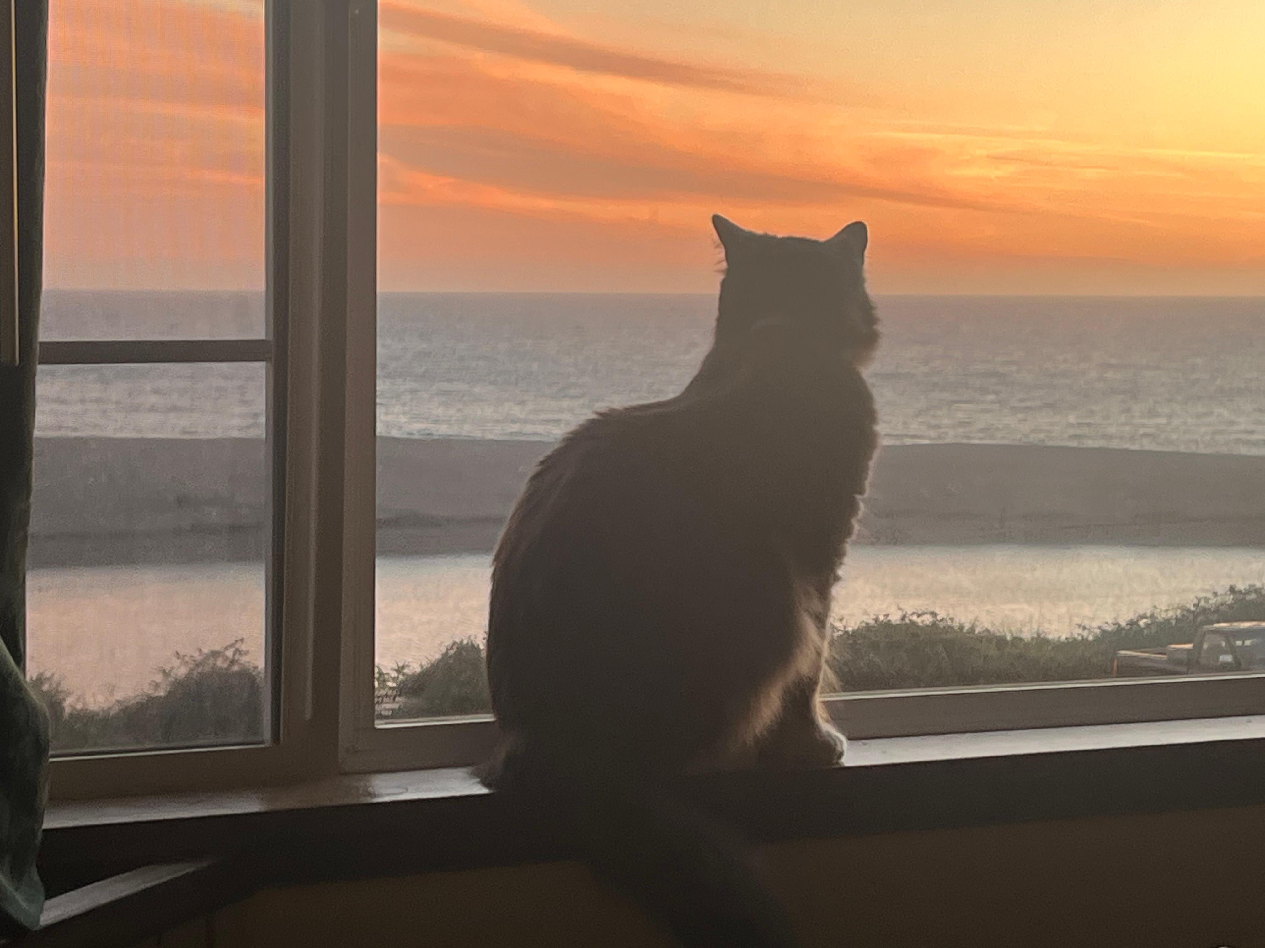 The view was incredible! George loved it❤️