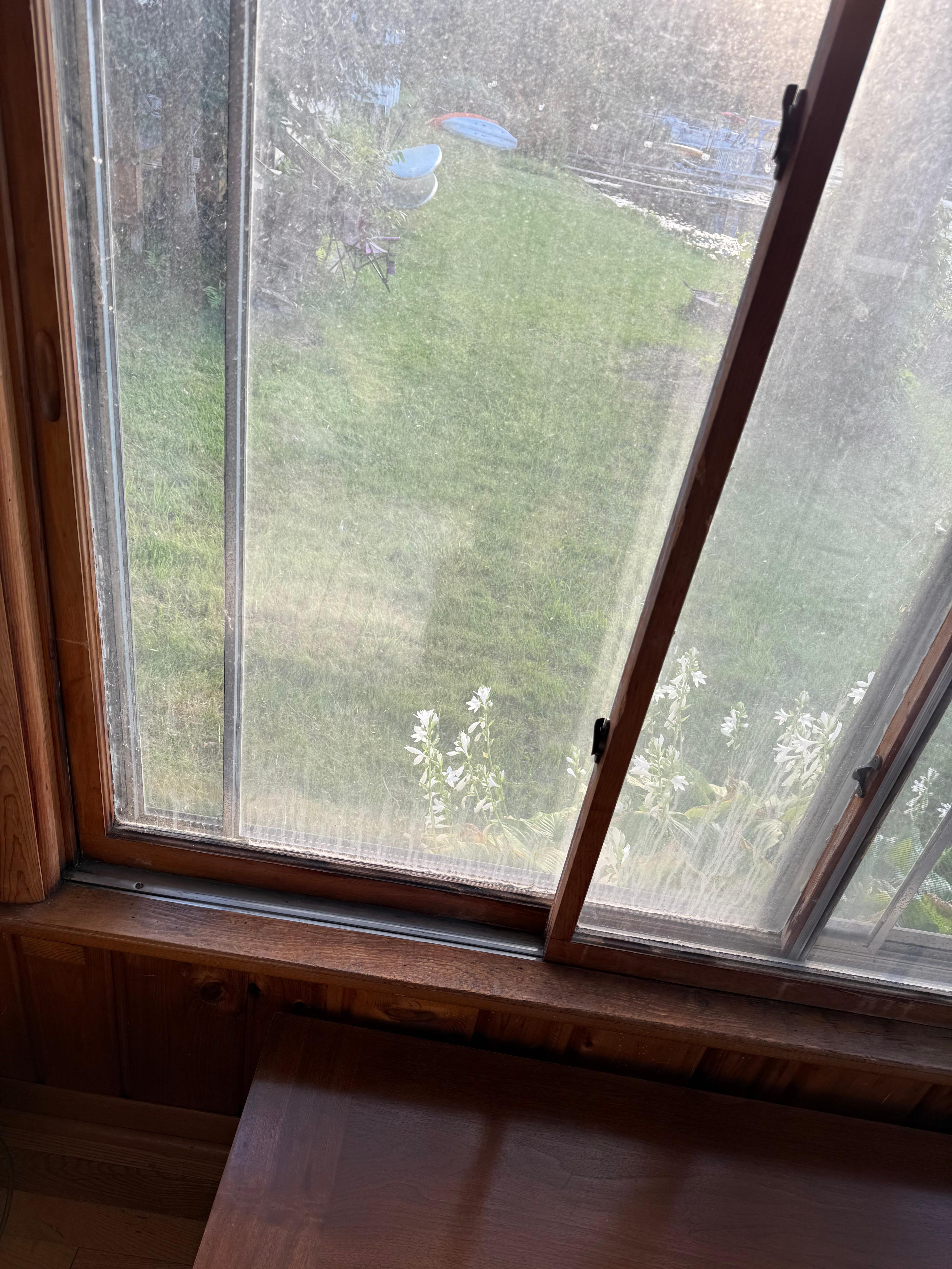 Incredibly dirty windows throughout the entire residence.