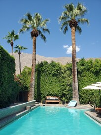 My favorite palms