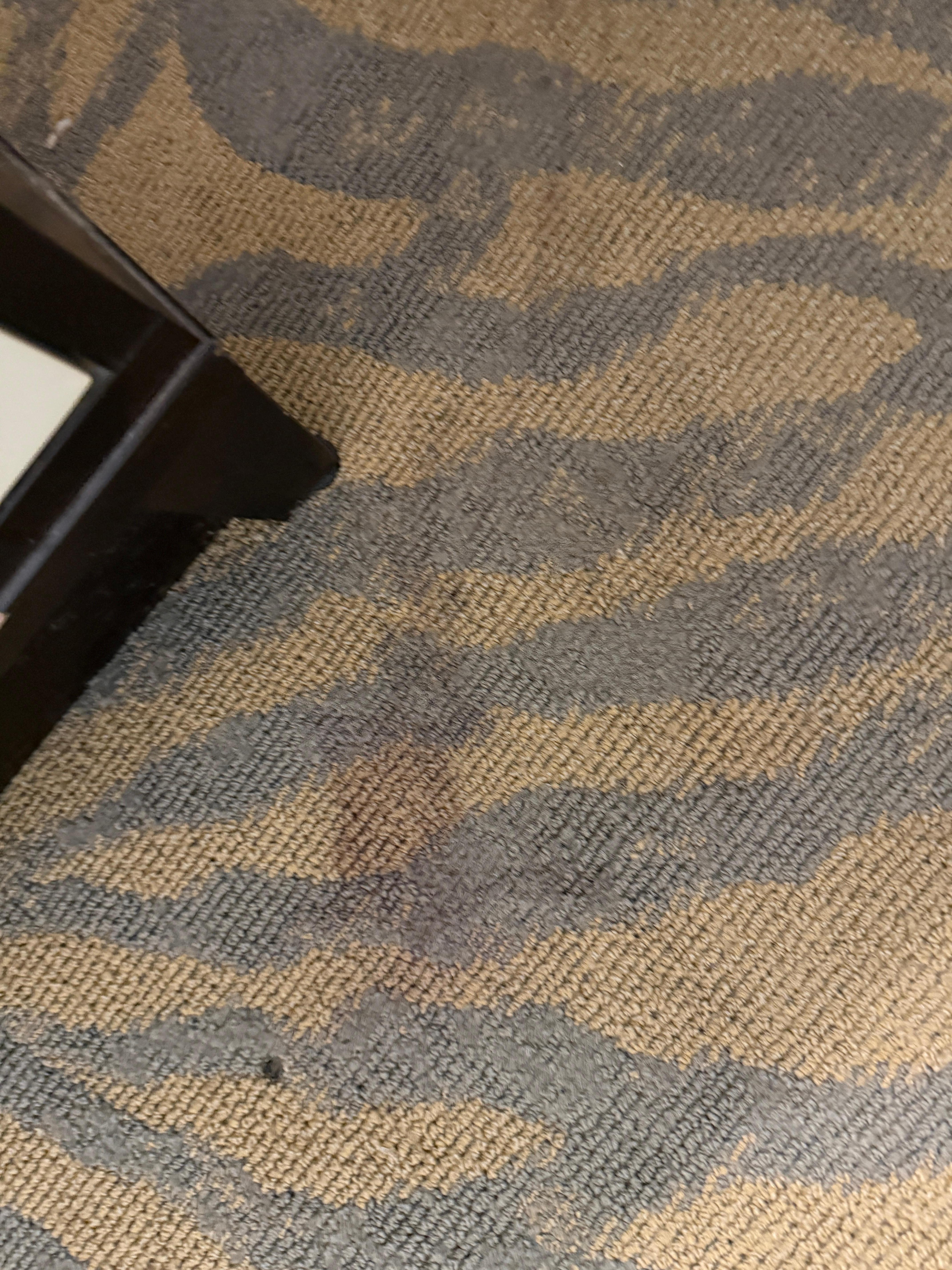 The rug were filthy. There were matches on the floor as well. Not cleaned well.