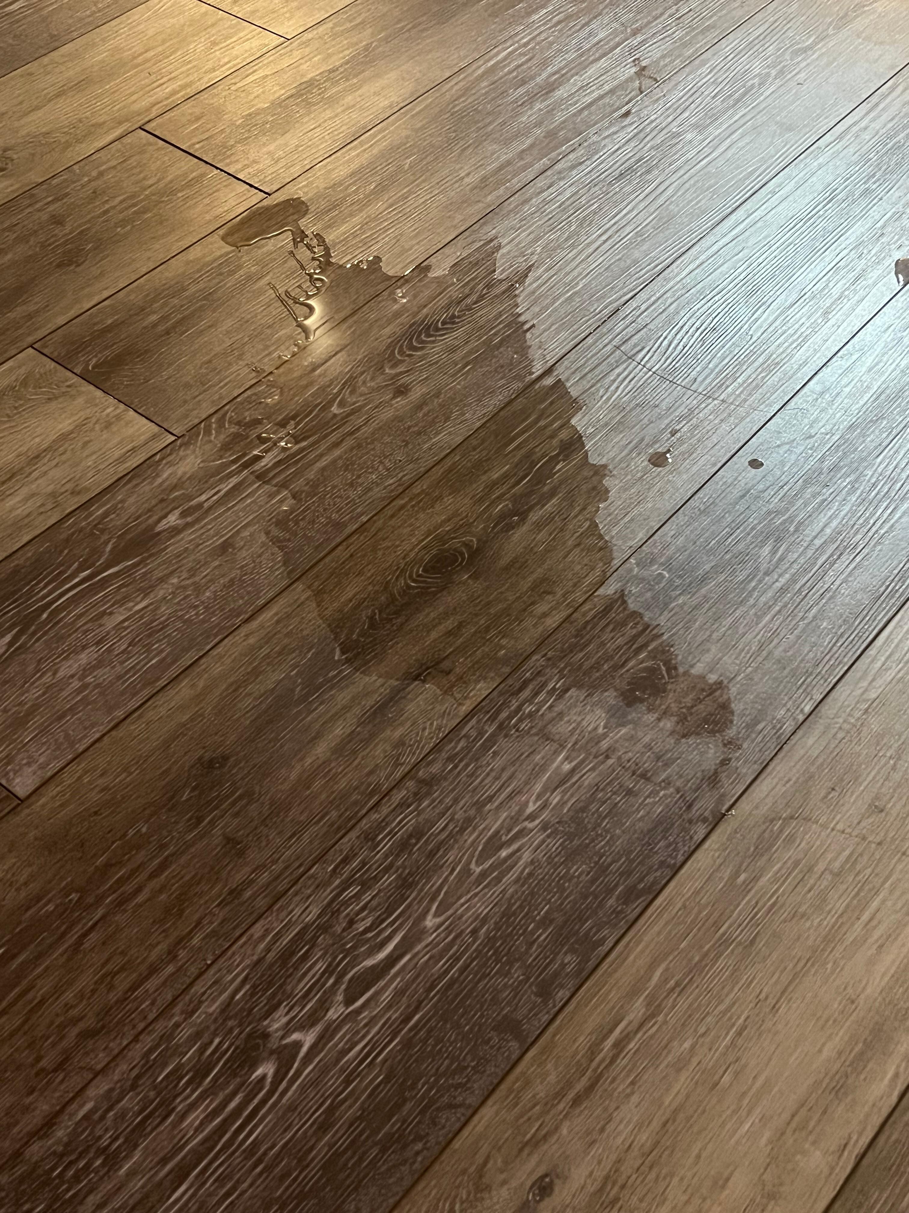 Water coming thru floor boards, leading to a puddle. 