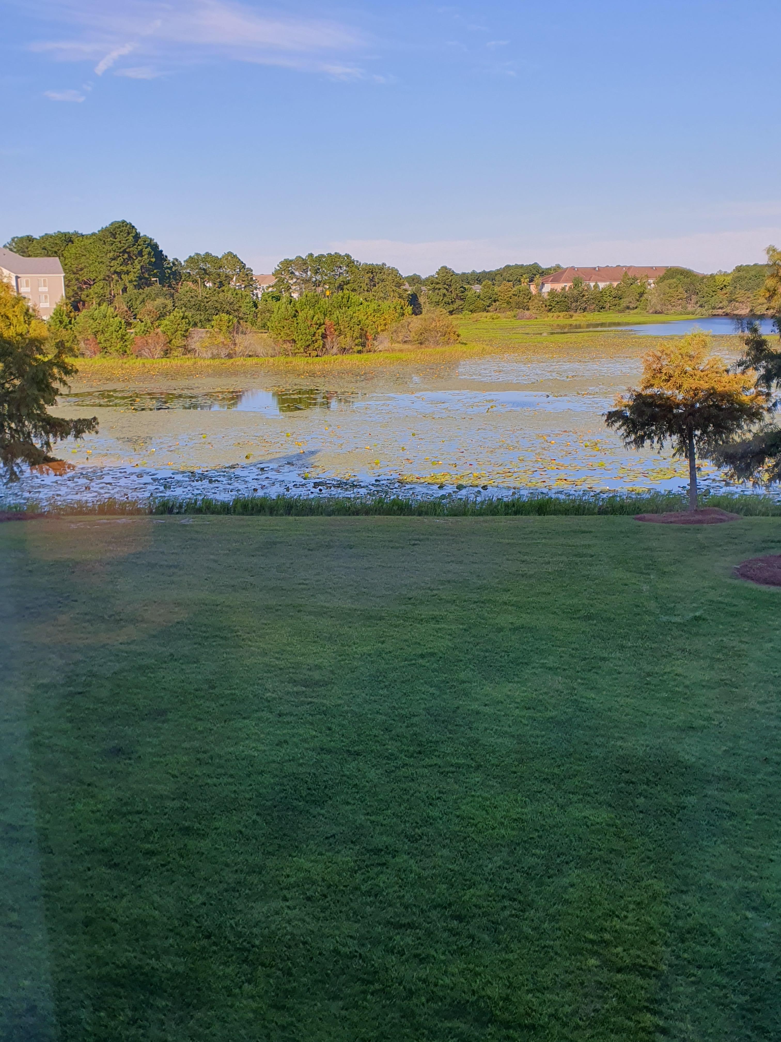 Nice view to wake up to