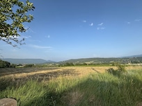 Blick auf die Felder vom Weg aus