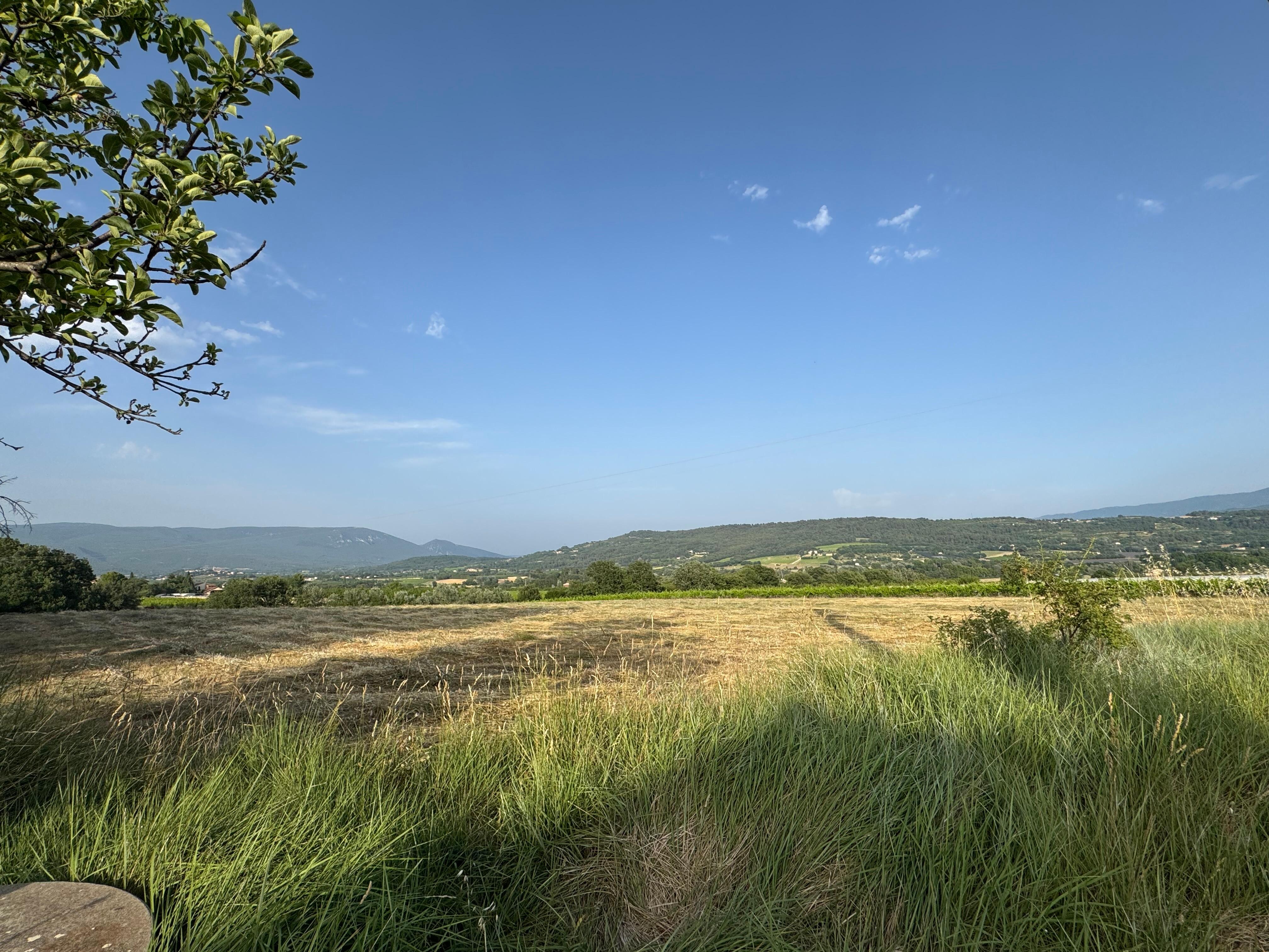 Blick auf die Felder vom Weg aus