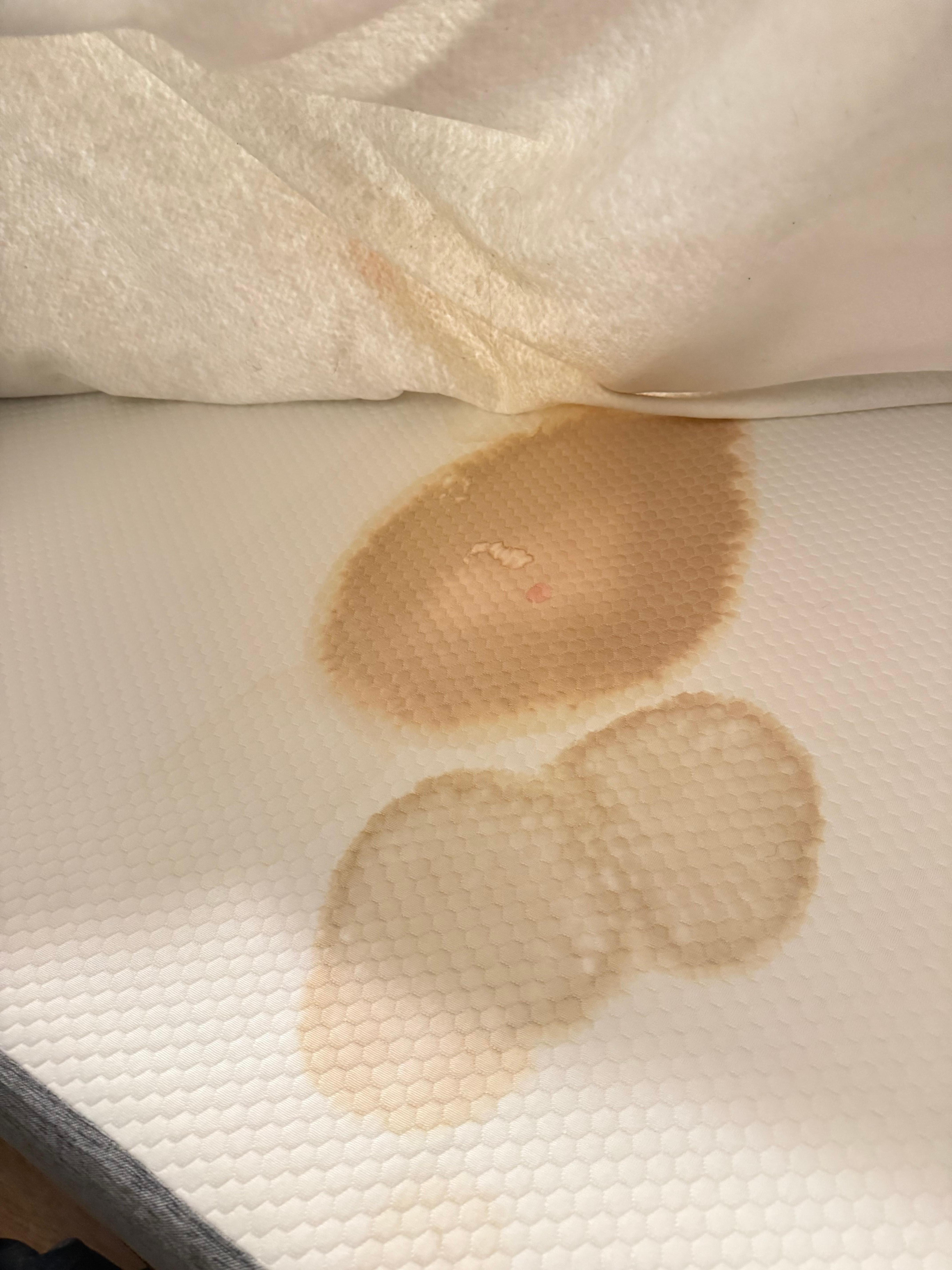 Discovered these stains under the bed sheets after looking for a brand tag