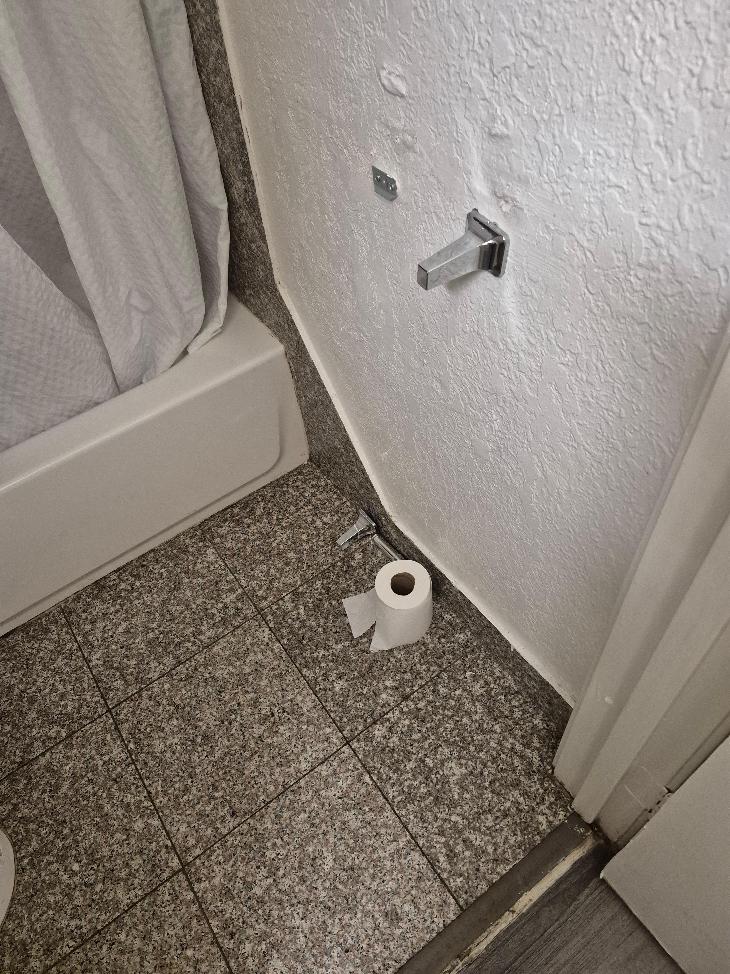 Broken toilet paper 