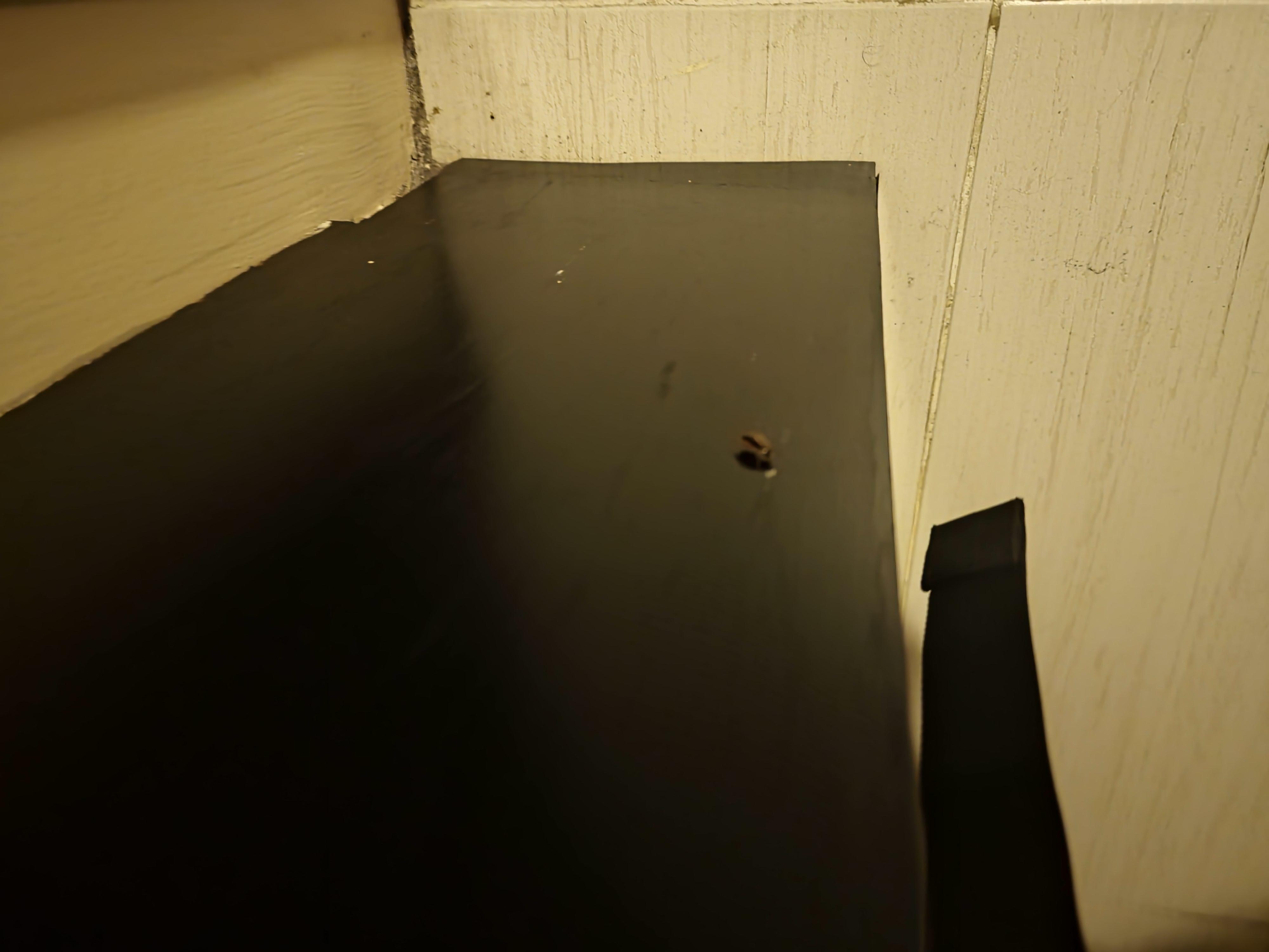 I found cockroaches all the place