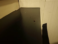 I found cockroaches all the place