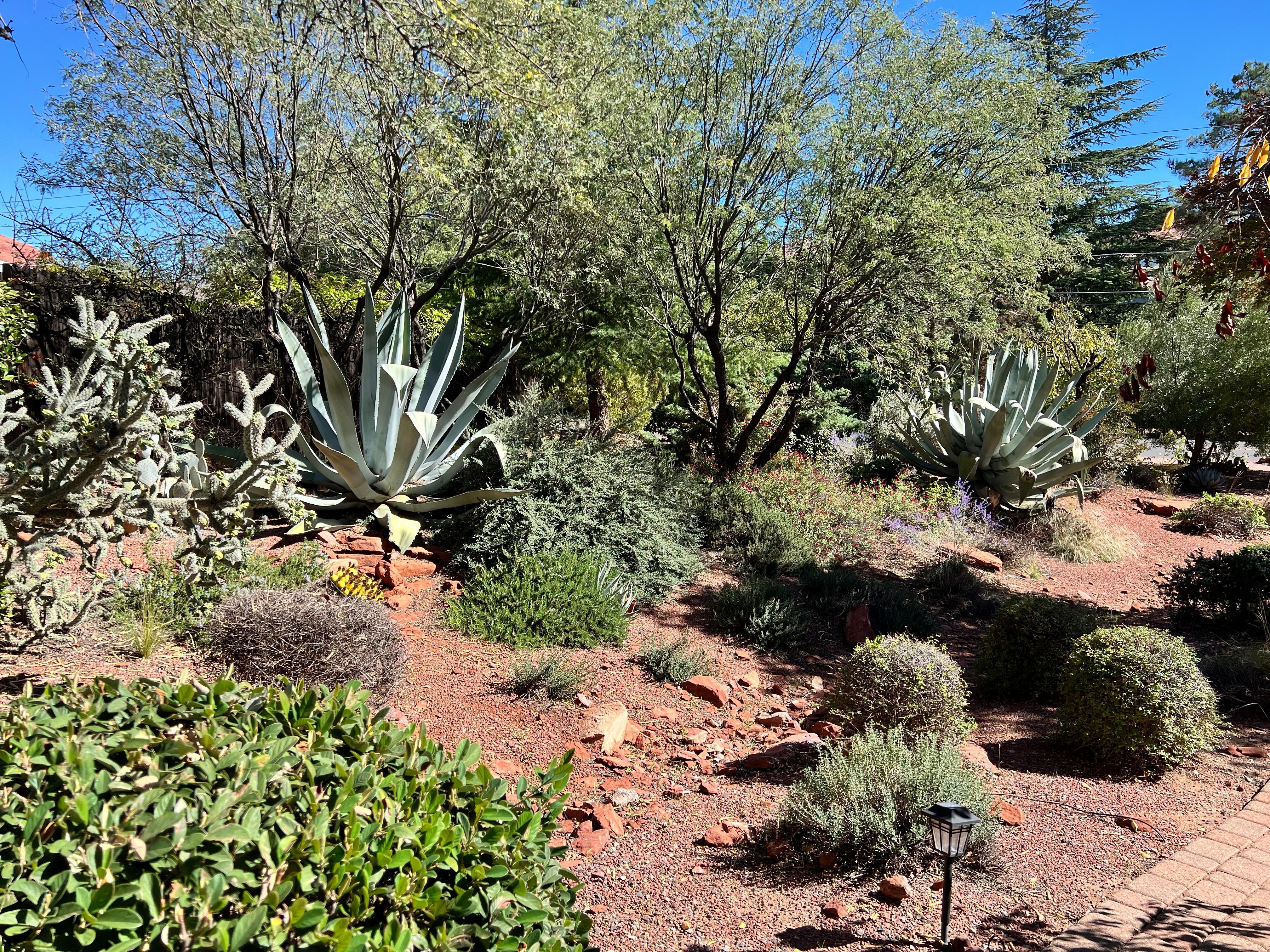 Backyard view, so pretty 