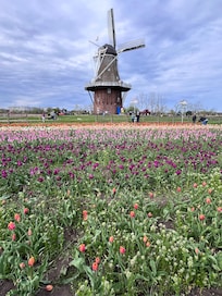 Holland