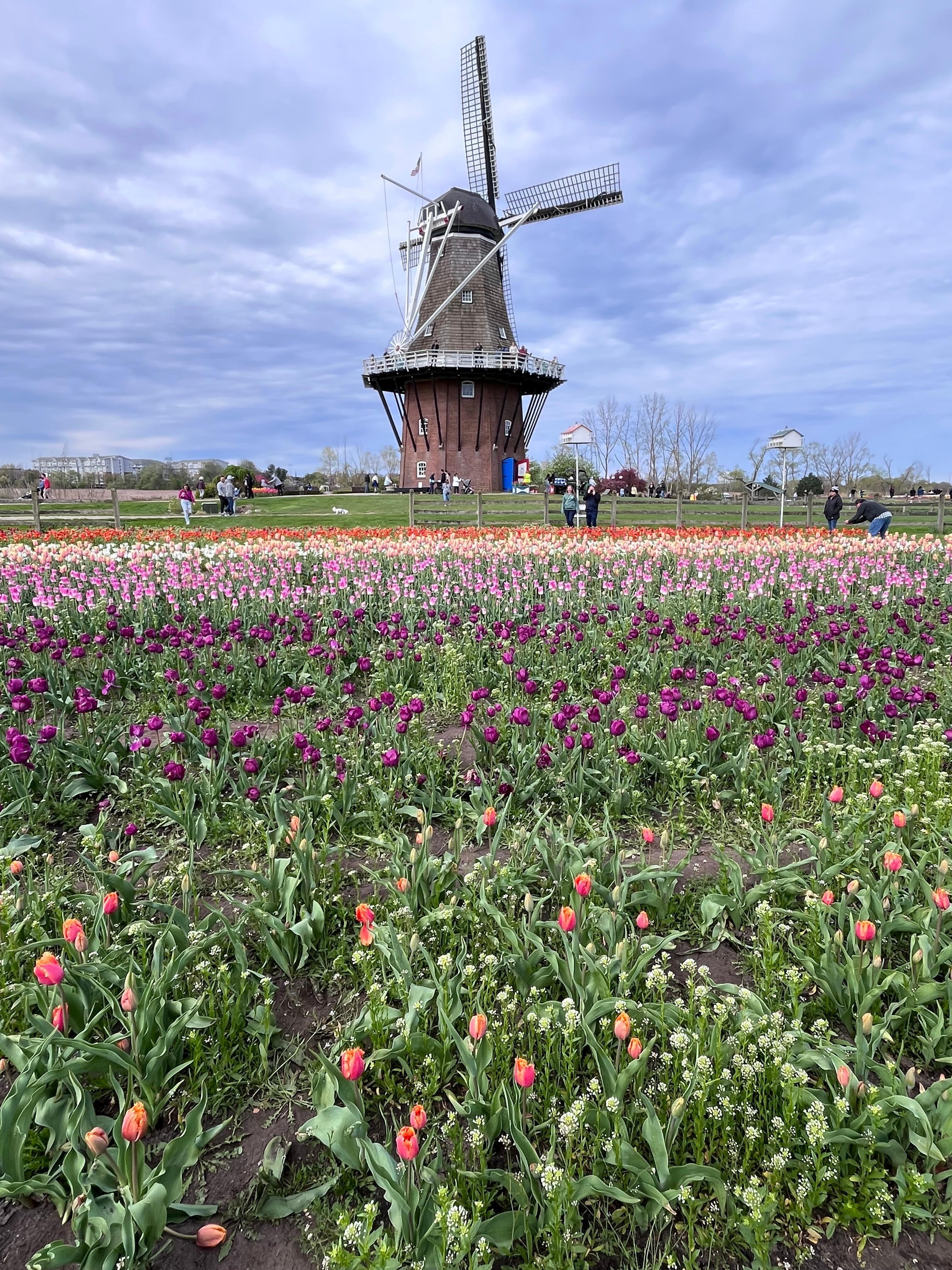 Holland
