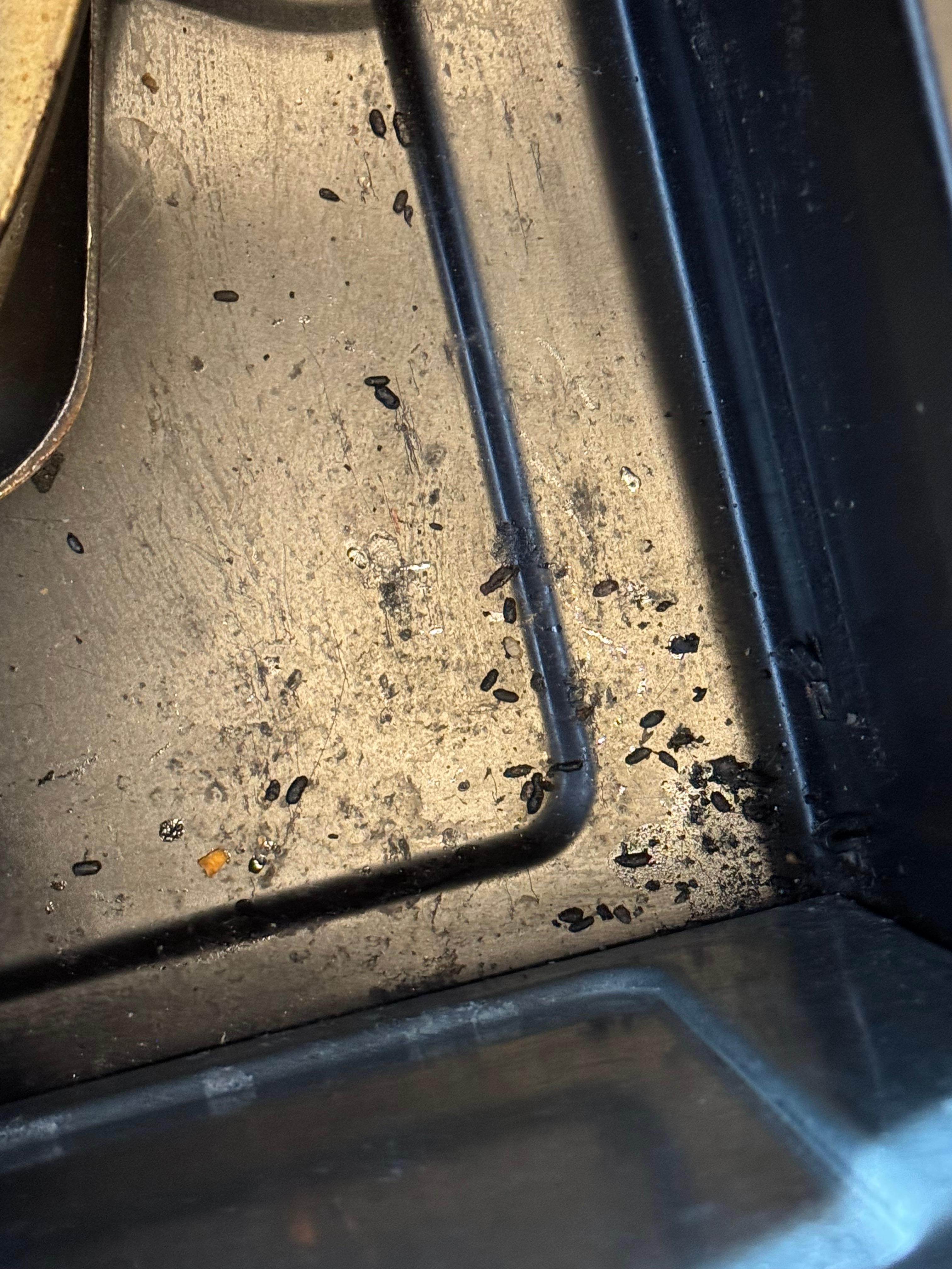 Oven warming  drawer