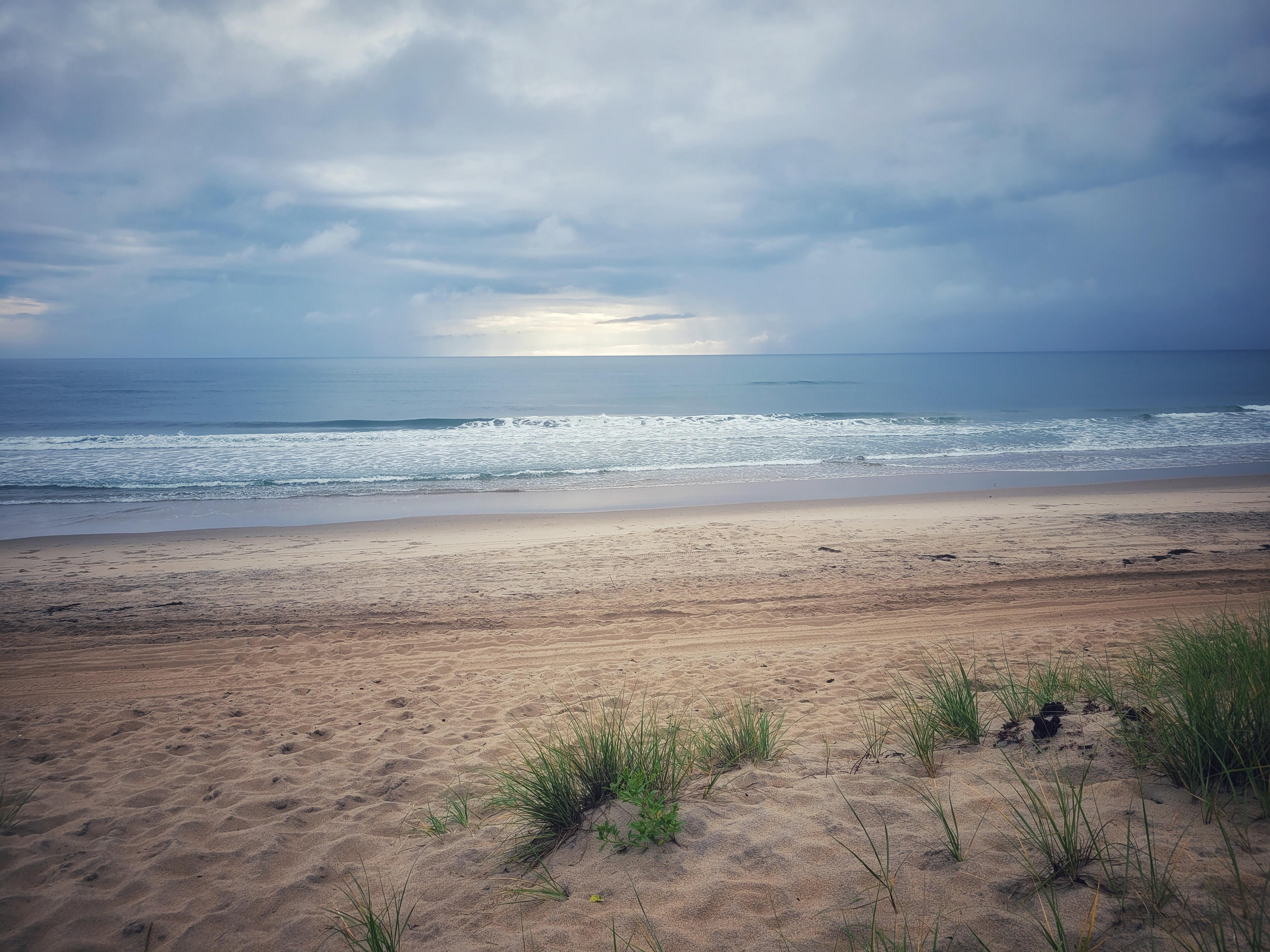 Took this at the top of the short path to the beach one morning.