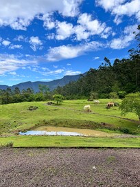 Vista da janela do quarto