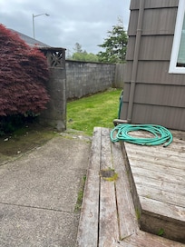 grassy area for dogs