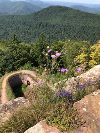 Hiking