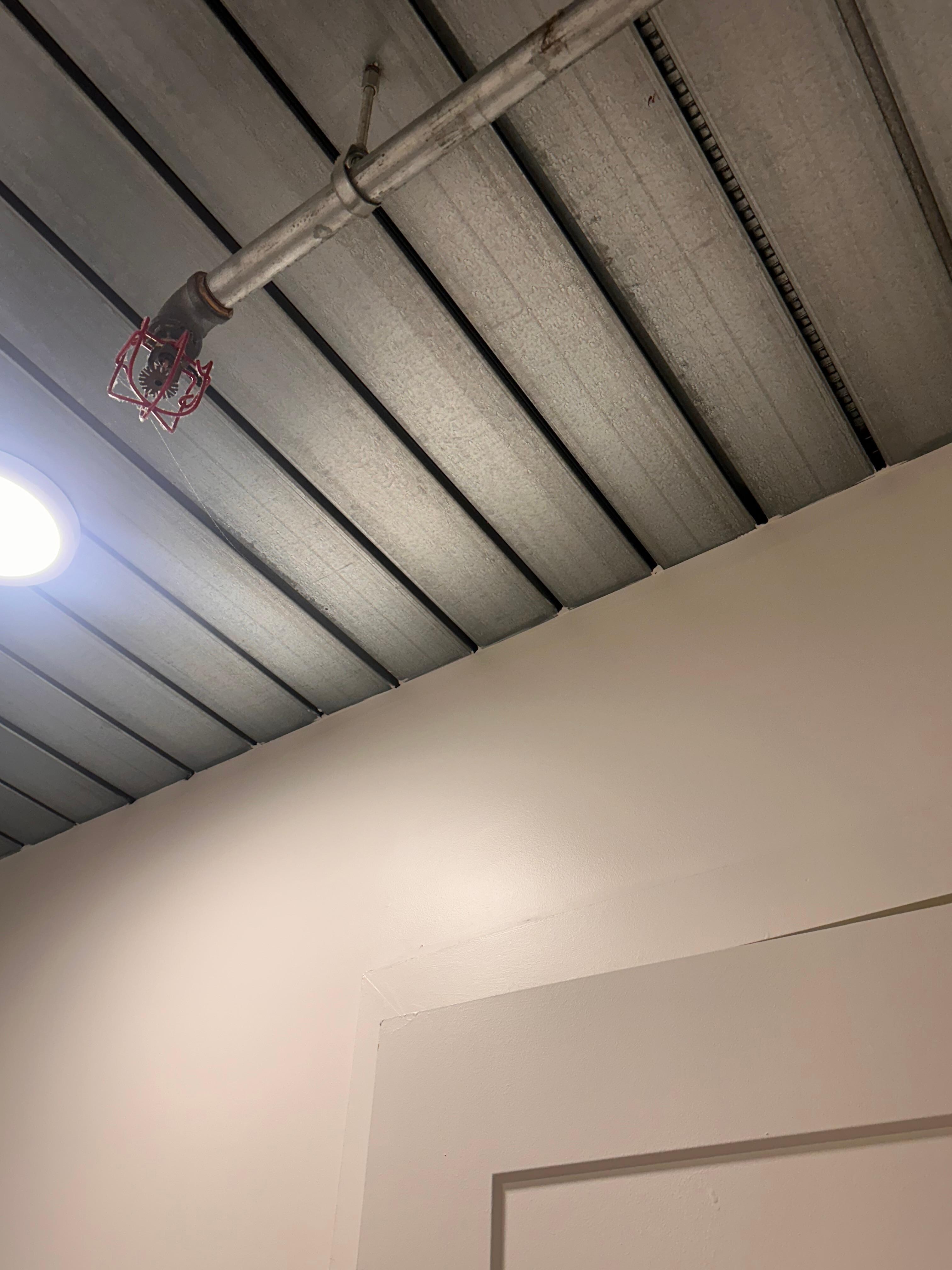 Literal cobweb on the ceiling 