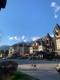 View from the back patio.