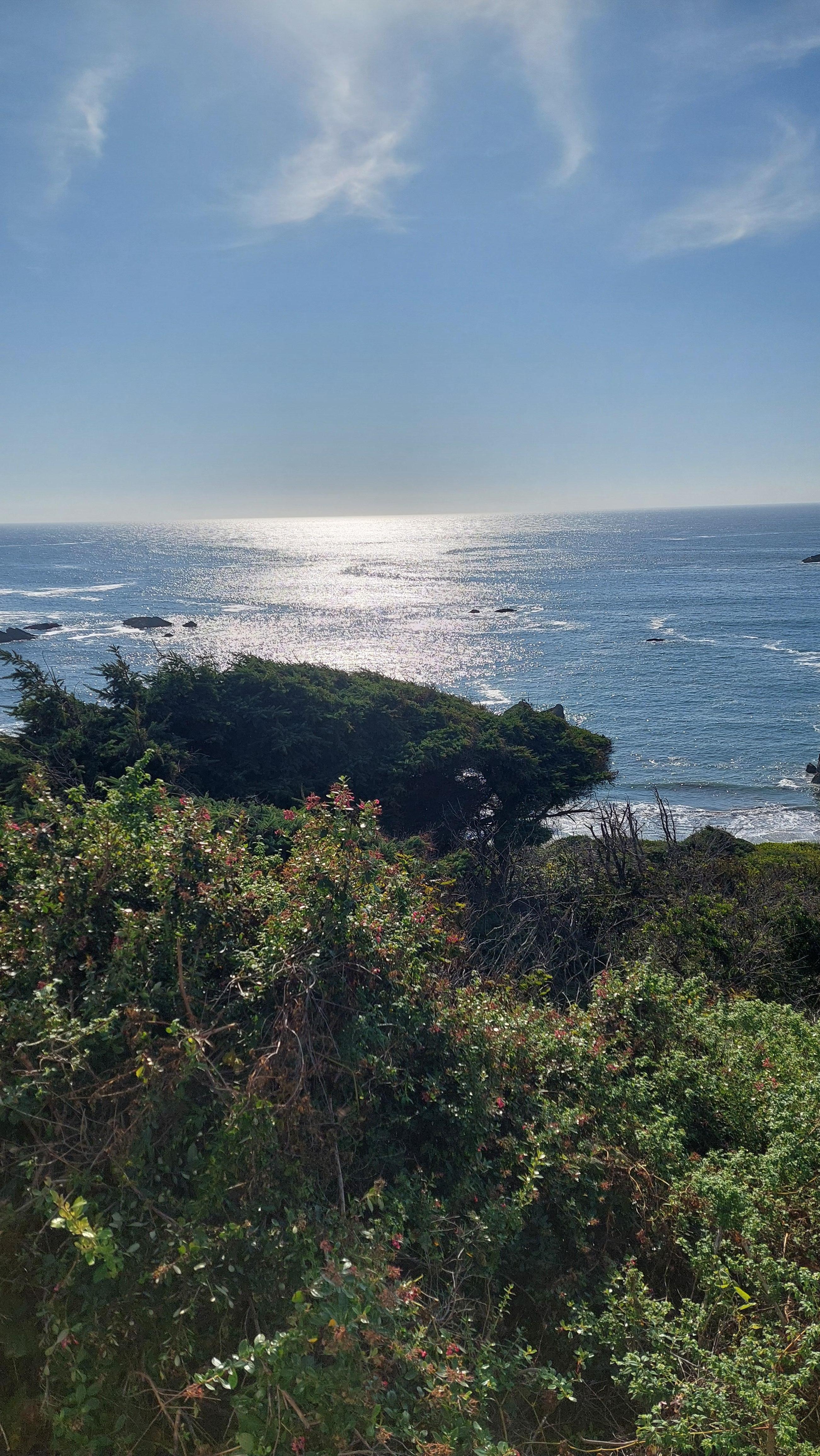 View from the deck in the late afternoon.