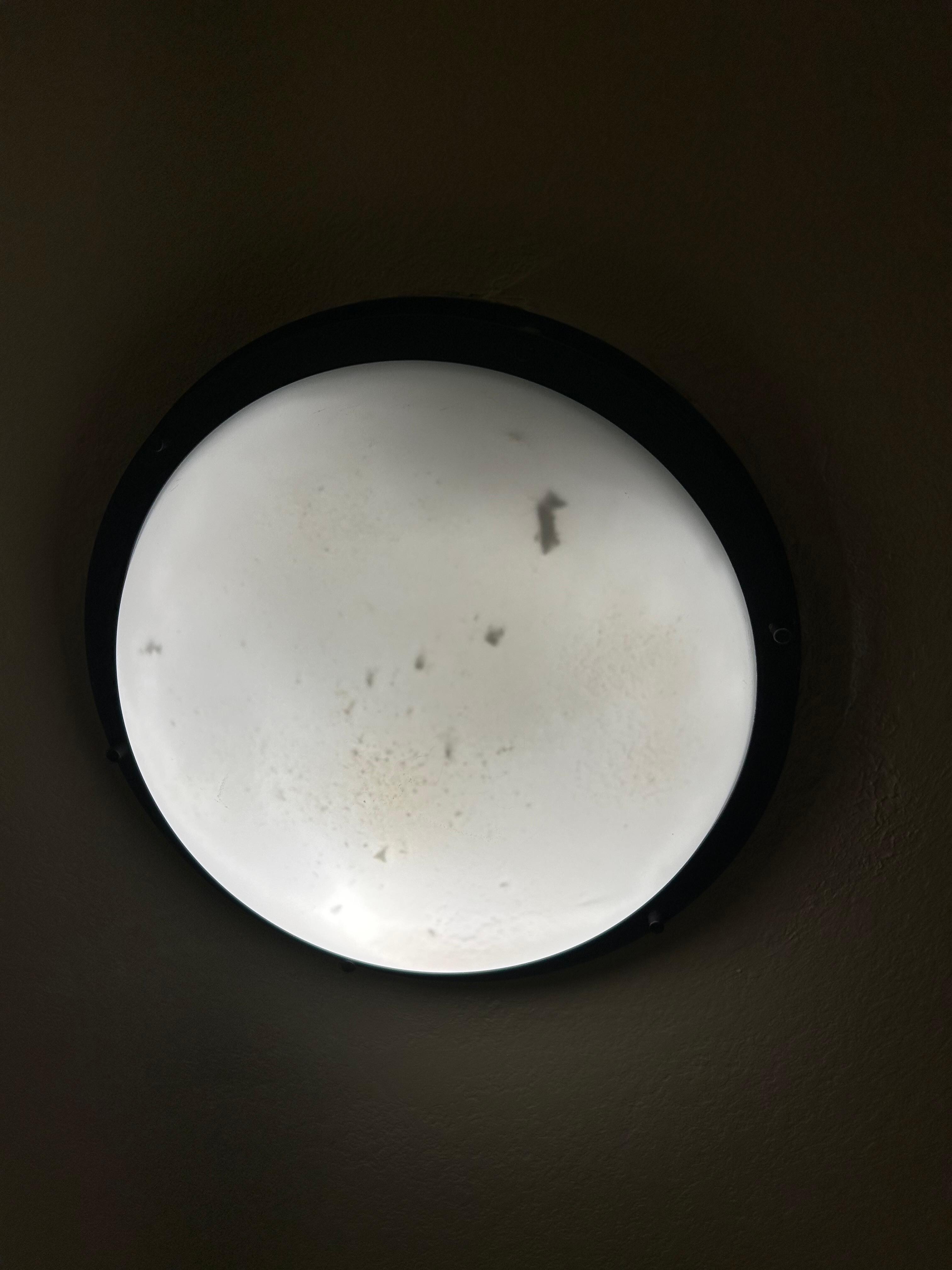Don’t even want to know what is in the lights