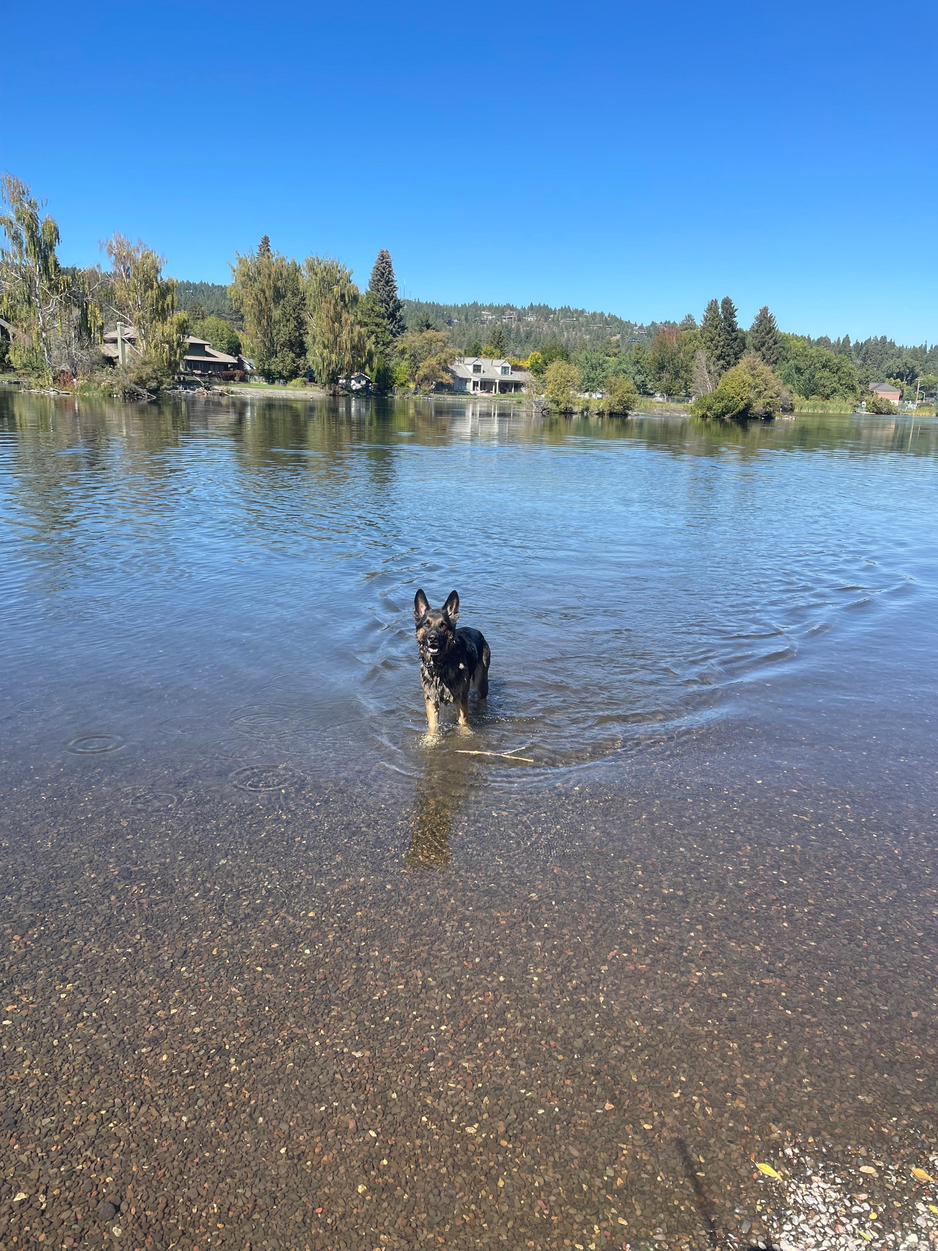 Hamish in the river at Drake’s park