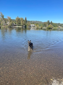 Hamish in the river at Drake’s park
